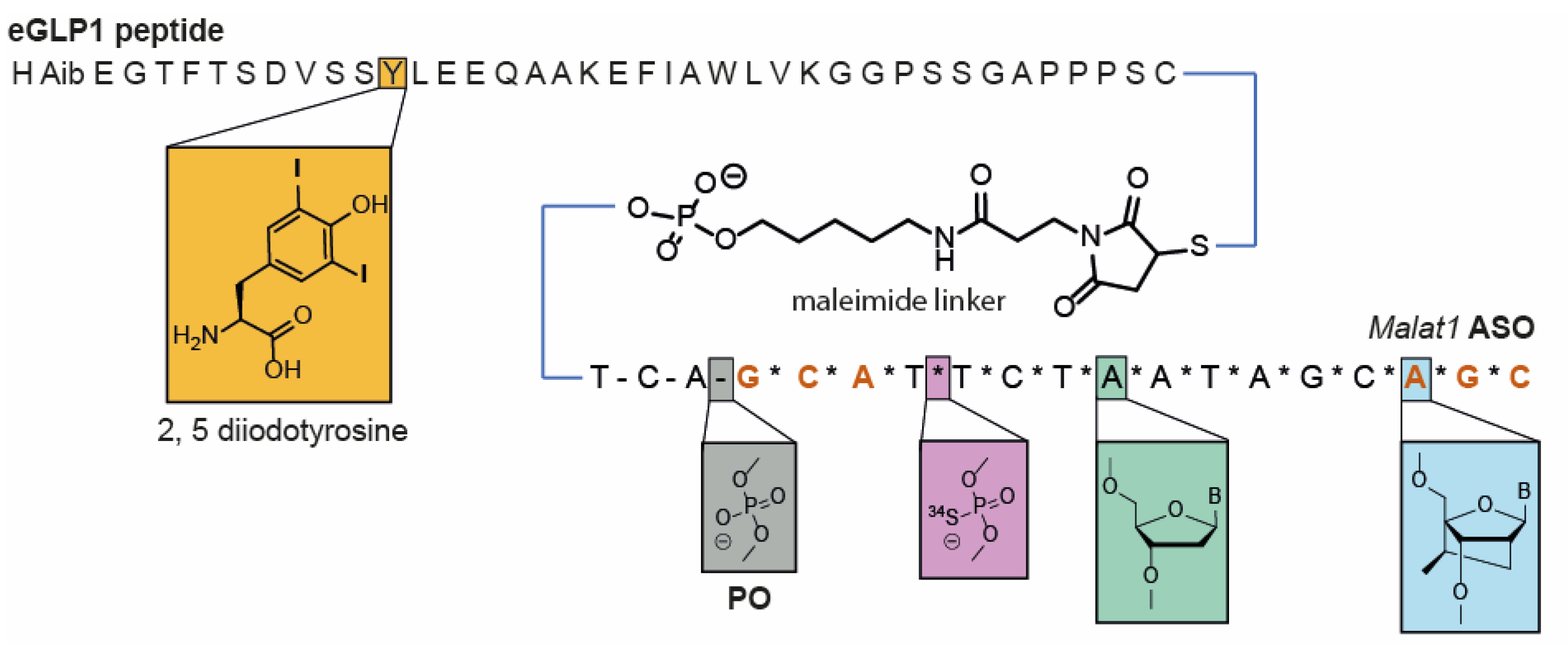 Pharmaceutics 14 00463 g002