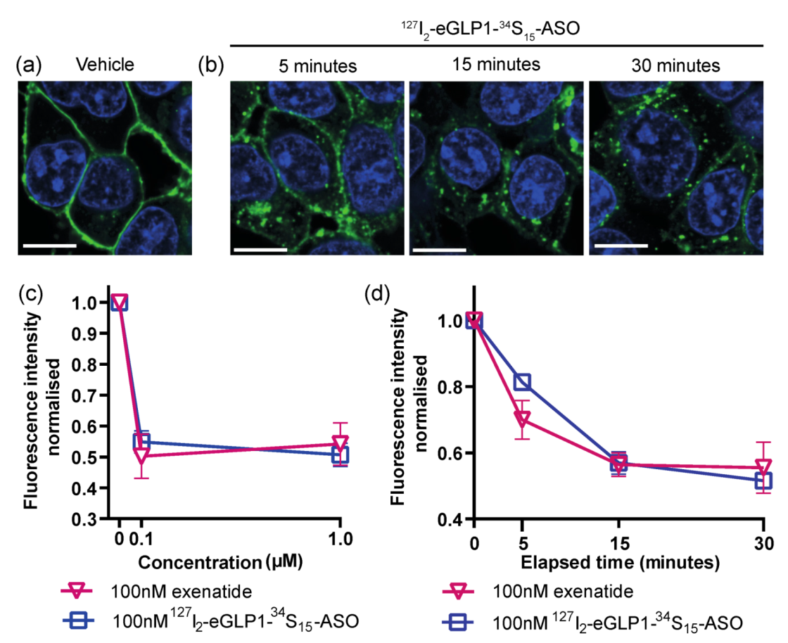 Pharmaceutics 14 00463 g004