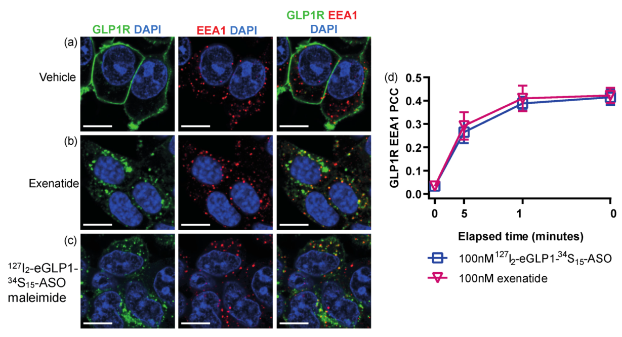 Pharmaceutics 14 00463 g005
