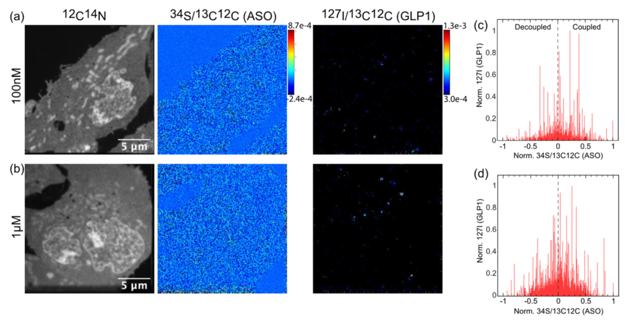 Pharmaceutics 14 00463 g008