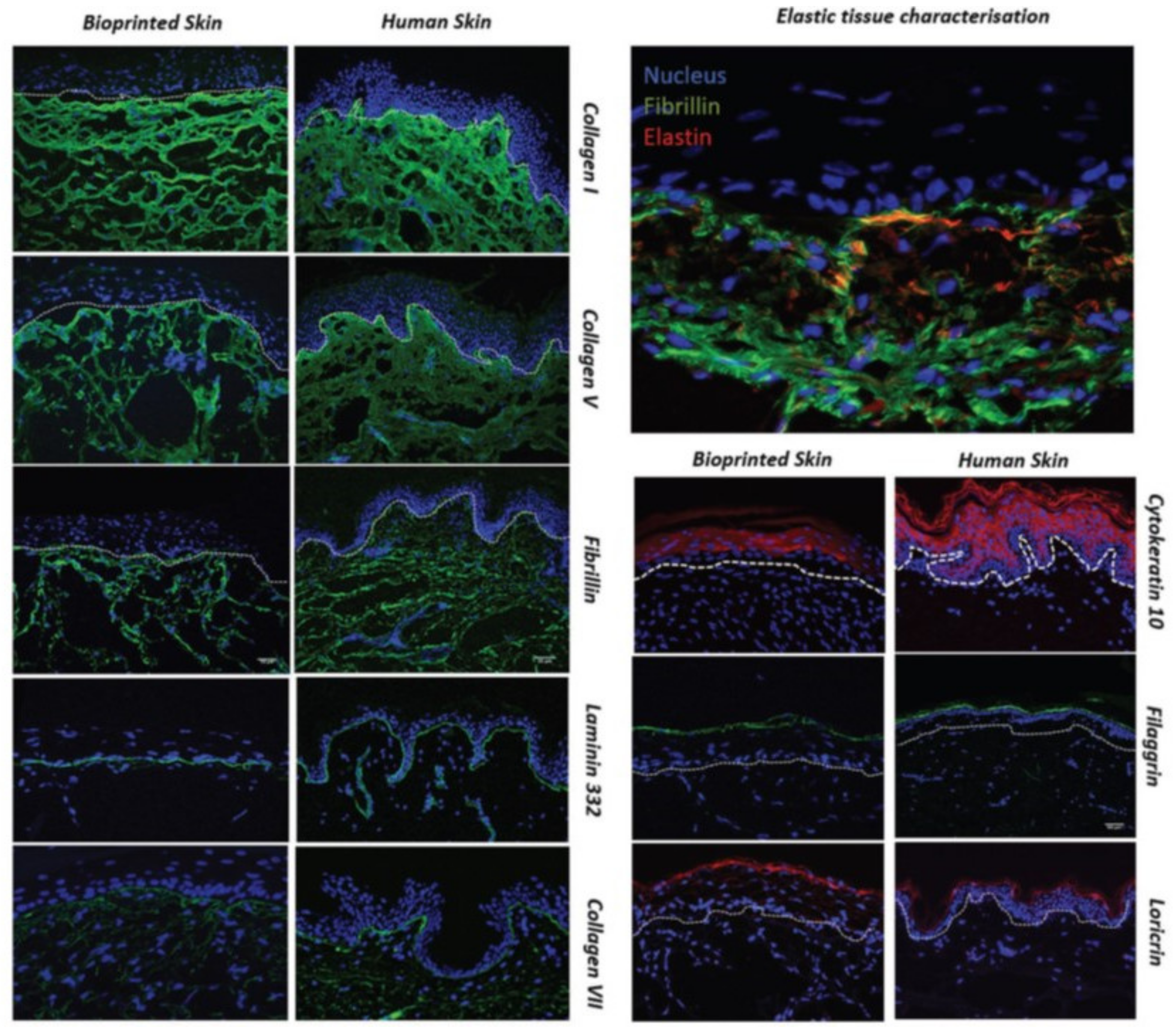 Pharmaceutics 14 00464 g014