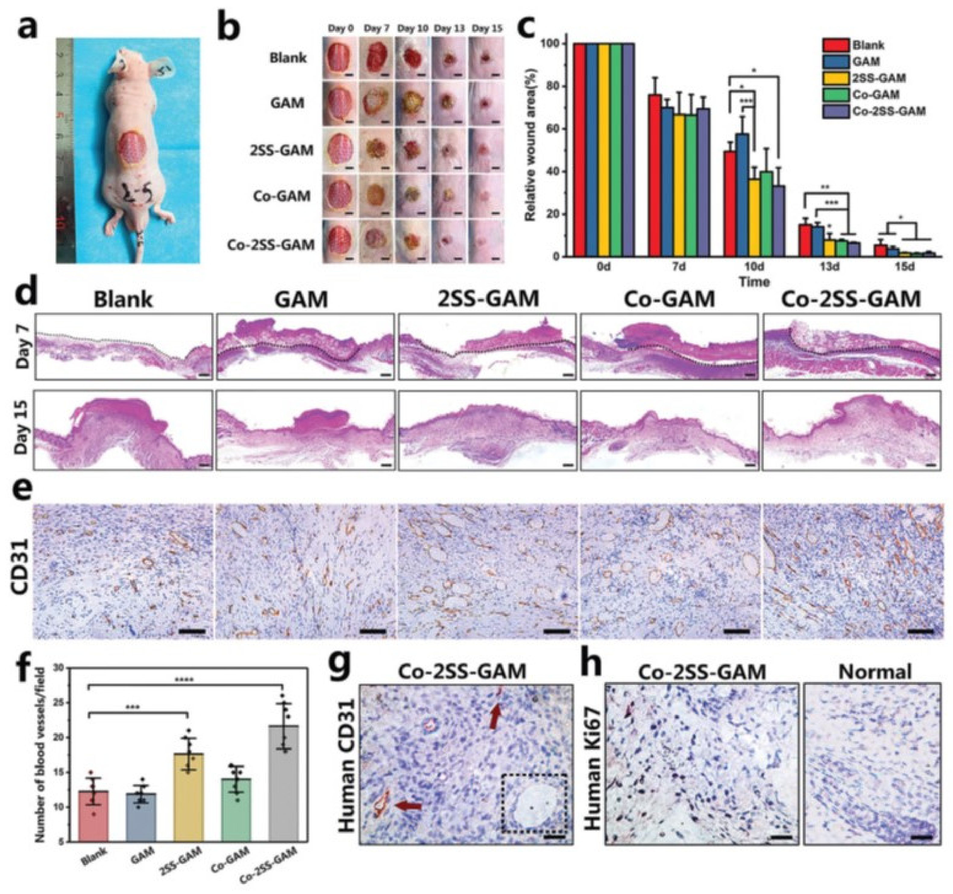 Pharmaceutics 14 00464 g016