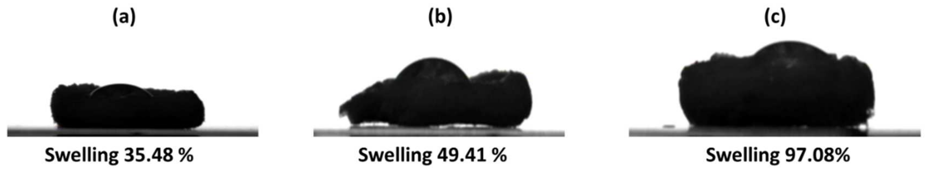 Pharmaceutics 14 00465 g004