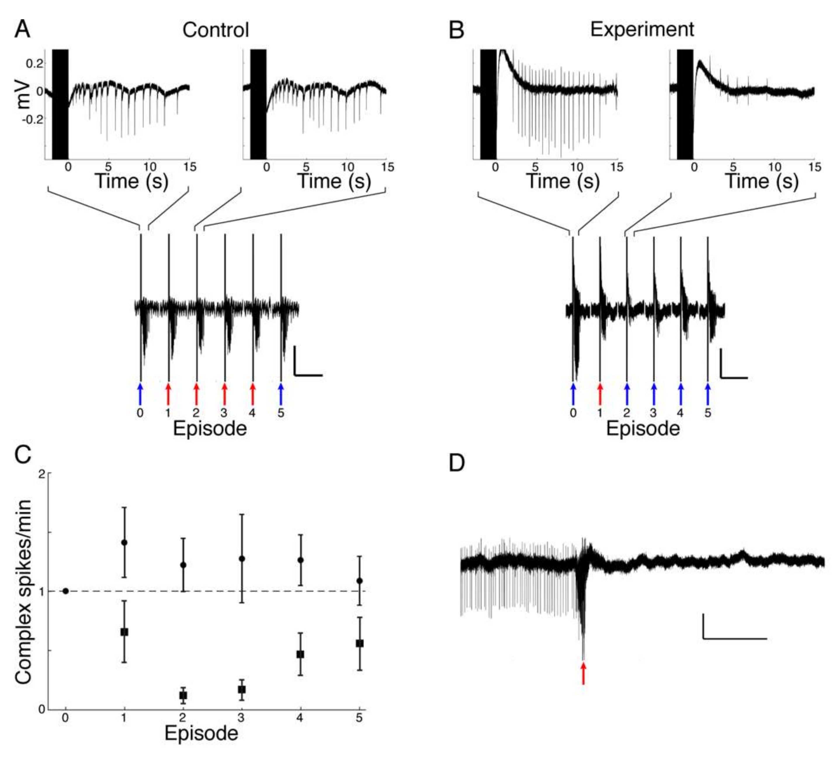 Pharmaceutics 14 00468 g004
