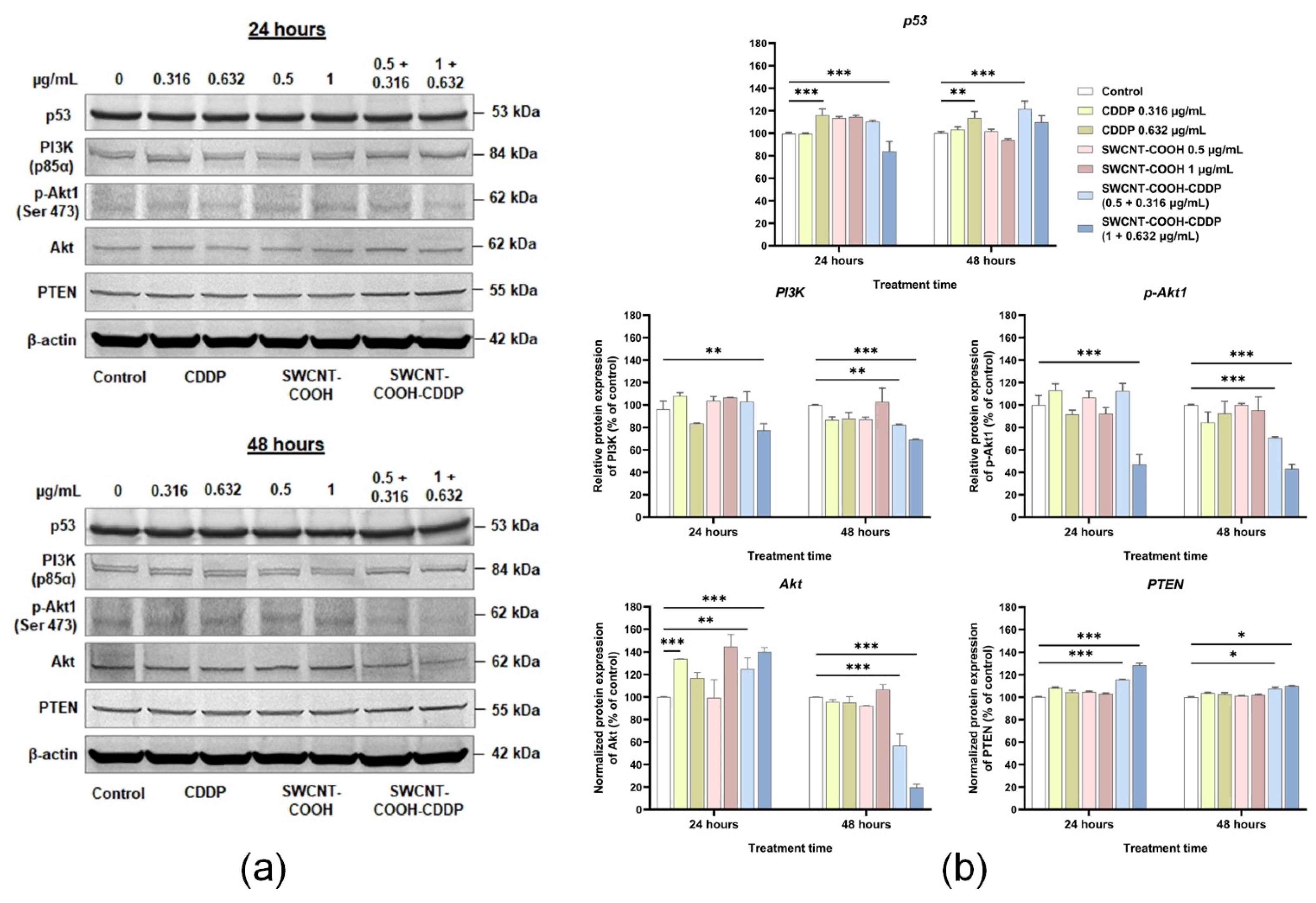Pharmaceutics 14 00469 g007 Pharmaceutics 14 00469 g007