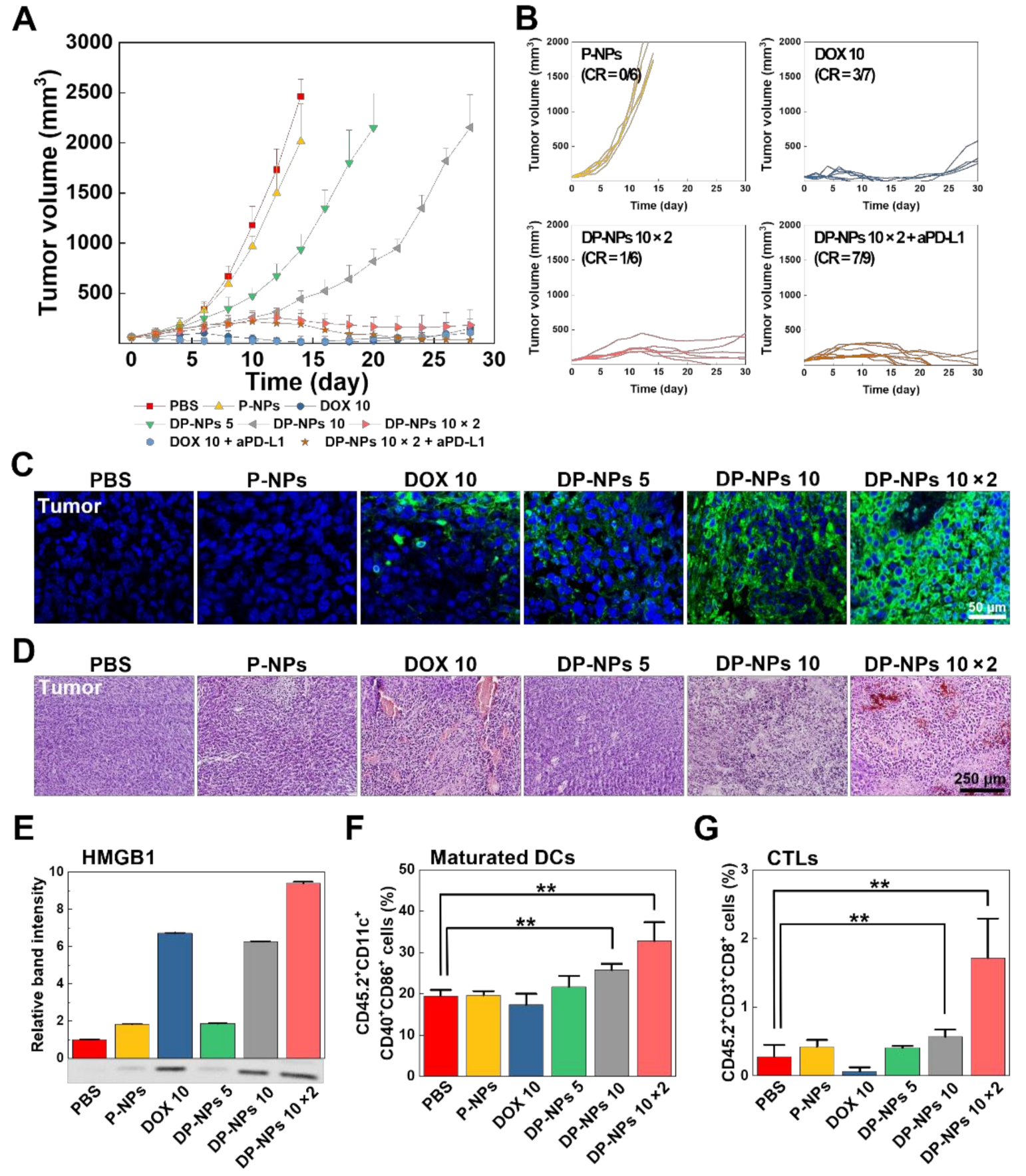 Pharmaceutics 14 00474 g004