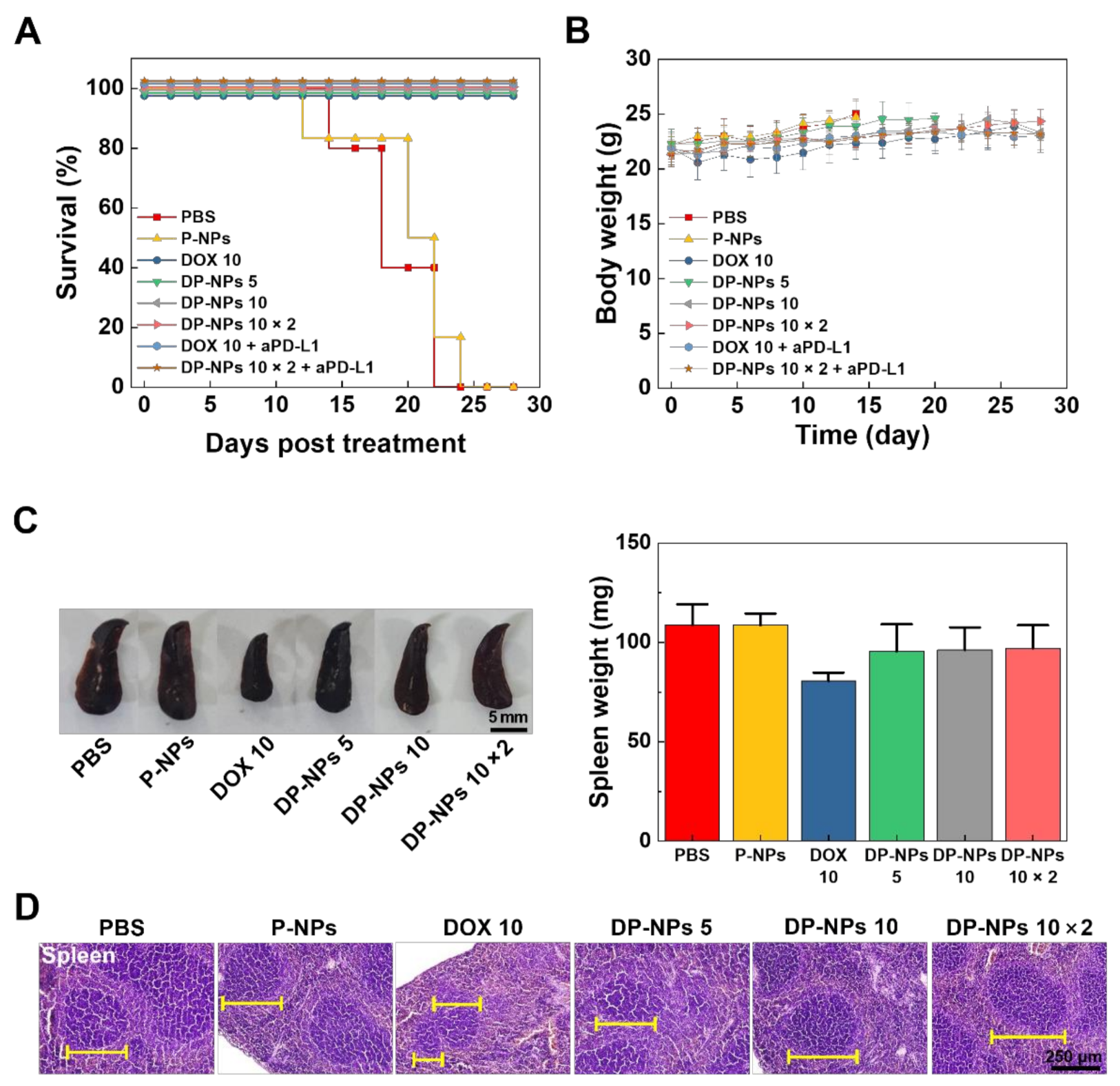 Pharmaceutics 14 00474 g005