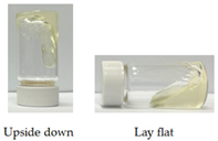 Pharmaceutics 14 00478 i004