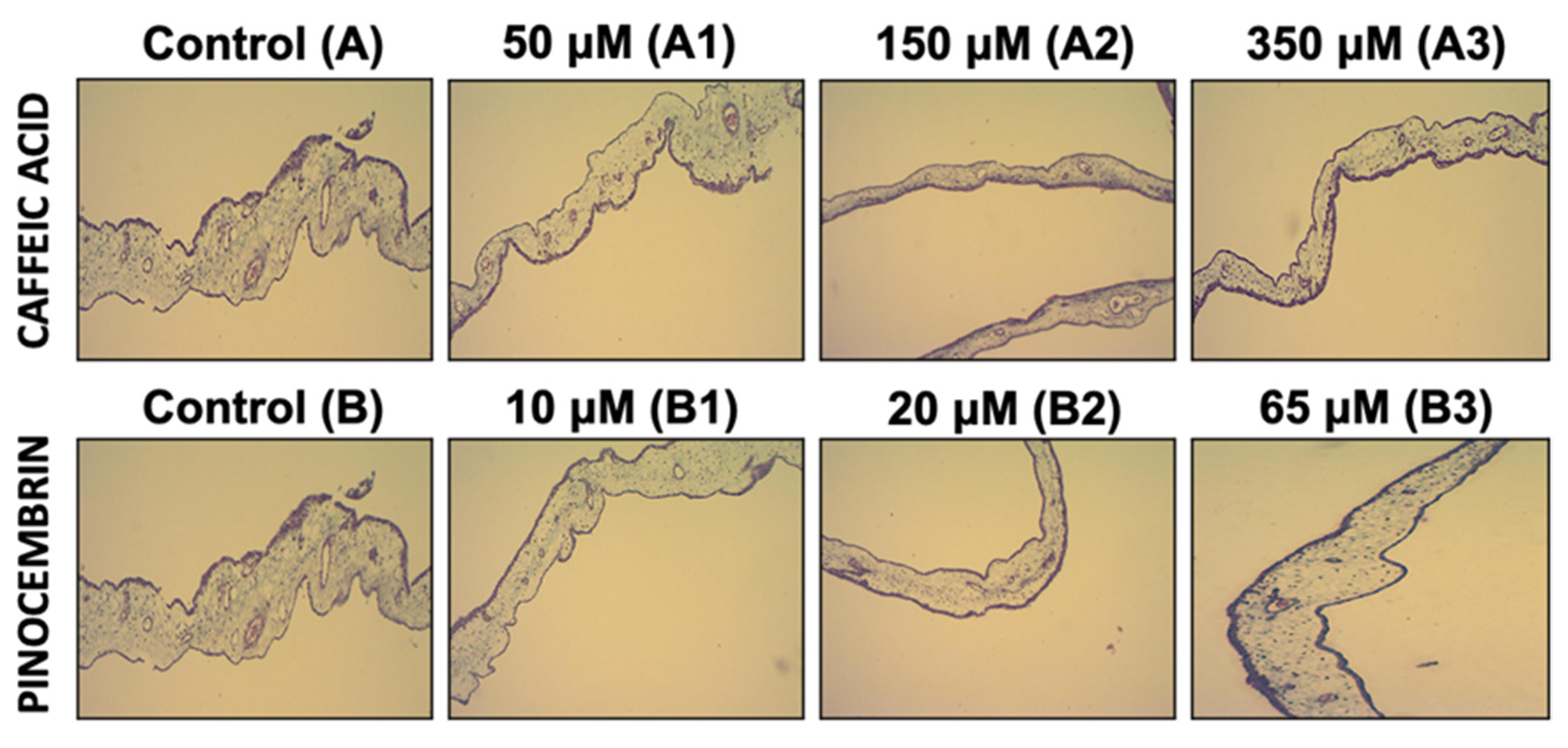 Pharmaceutics 14 00484 g003 Pharmaceutics 14 00484 g003