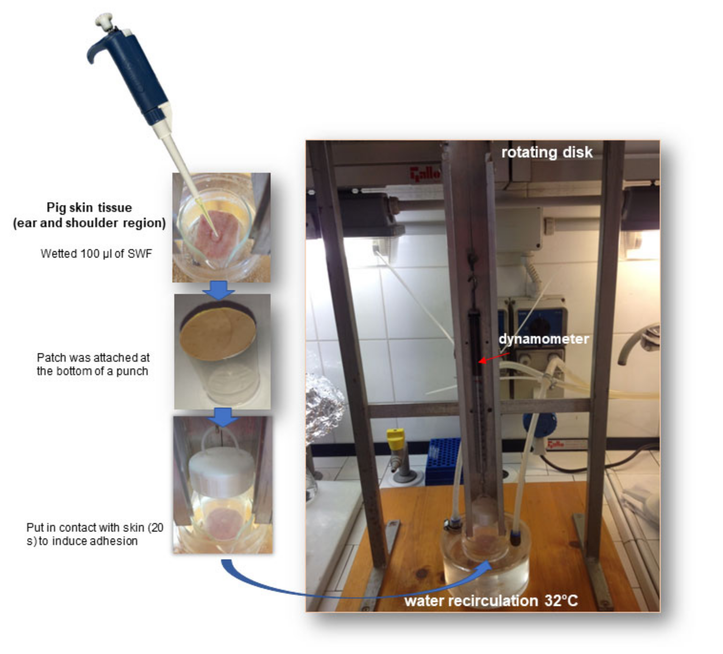 Pharmaceutics 14 00485 g003