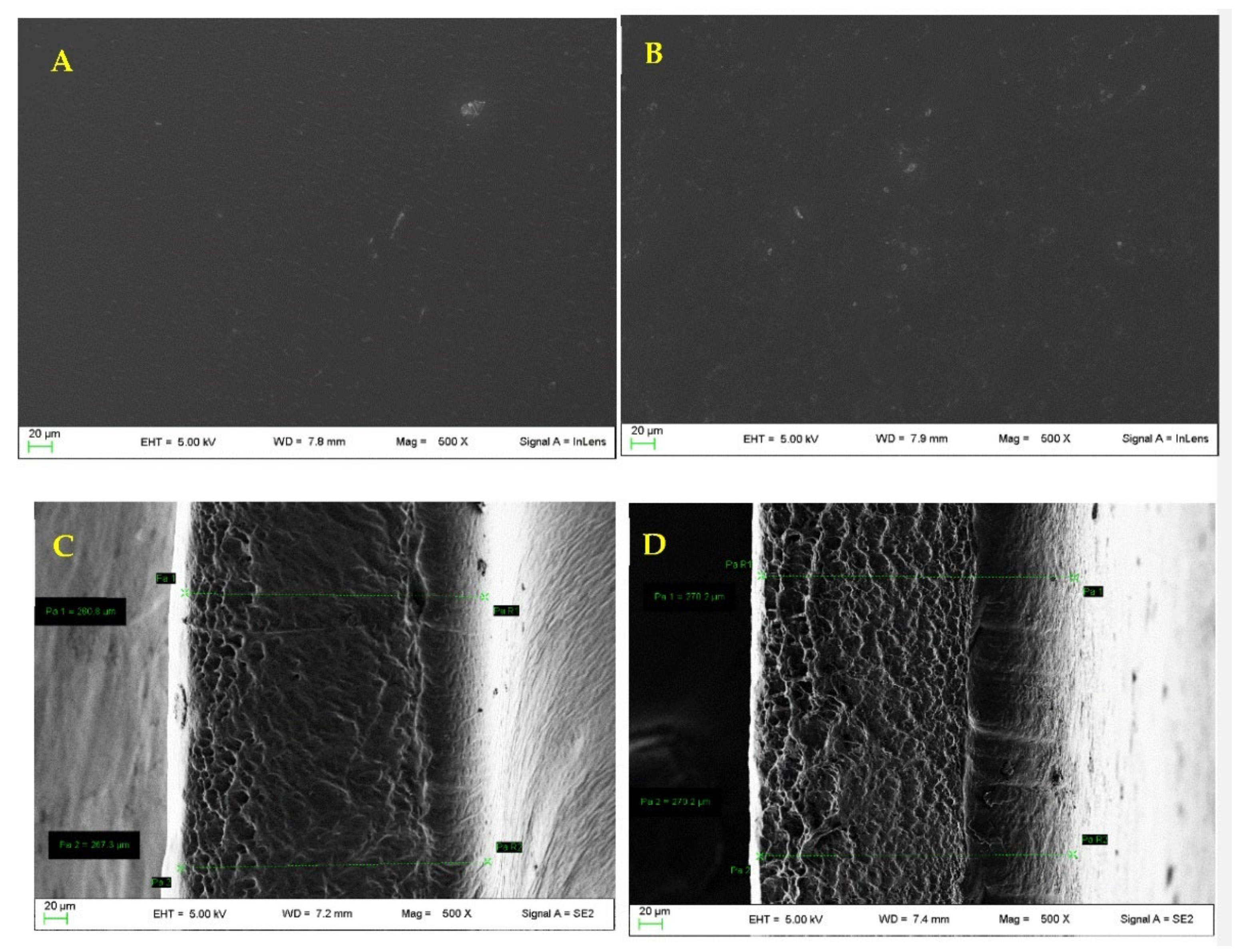 Pharmaceutics 14 00485 g009