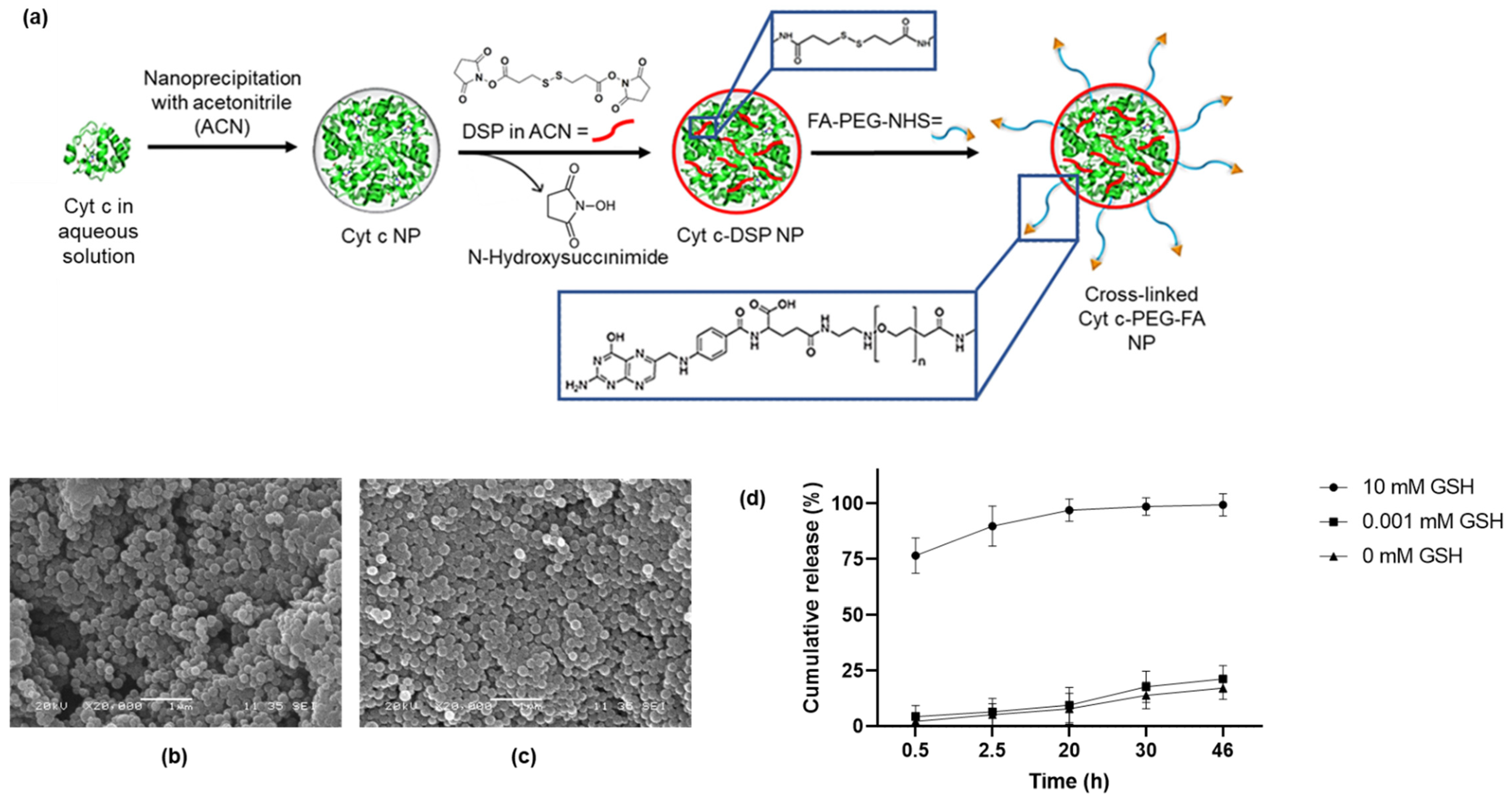 Pharmaceutics 14 00490 g001 Pharmaceutics 14 00490 g001