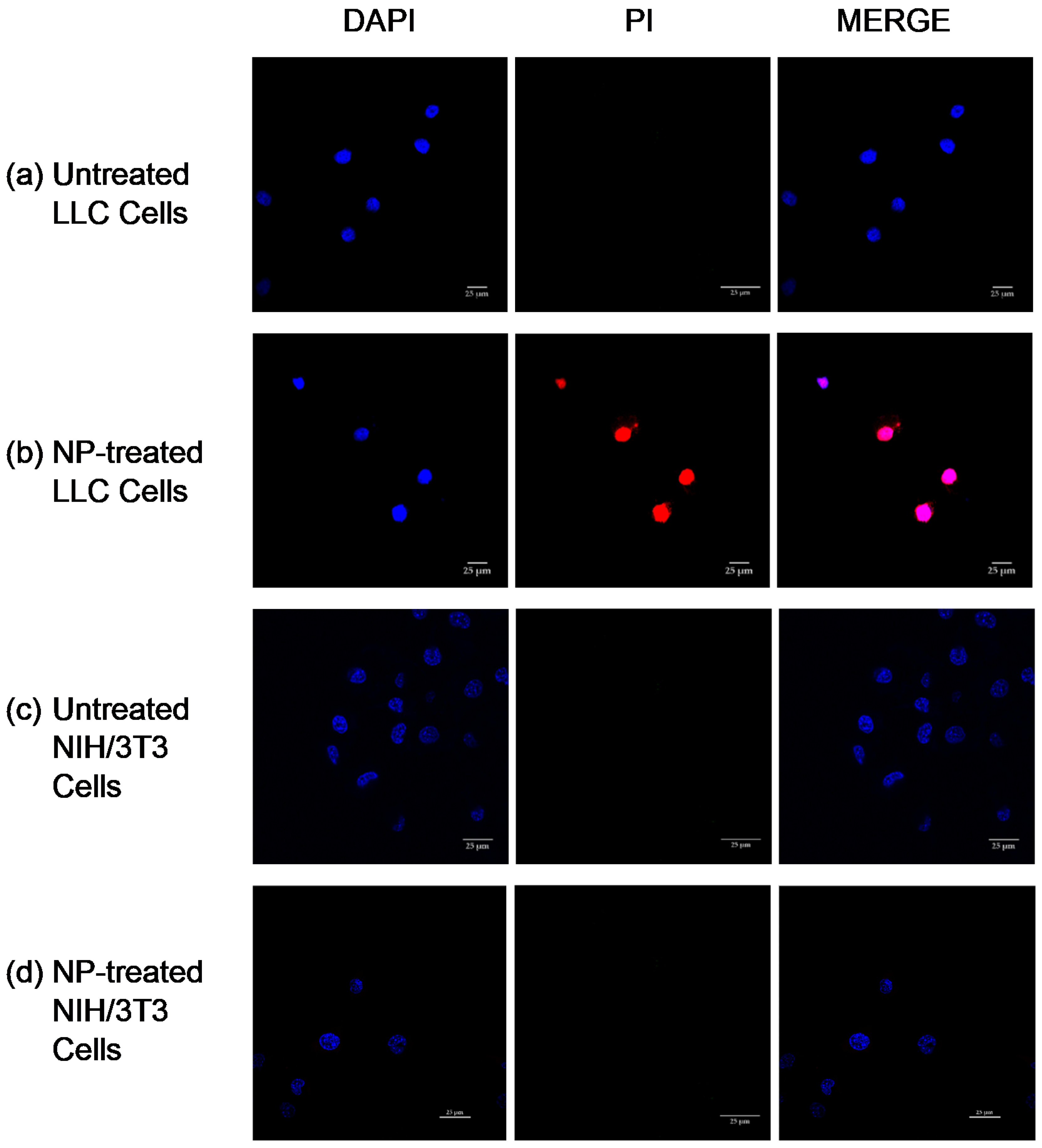Pharmaceutics 14 00490 g005 Pharmaceutics 14 00490 g005