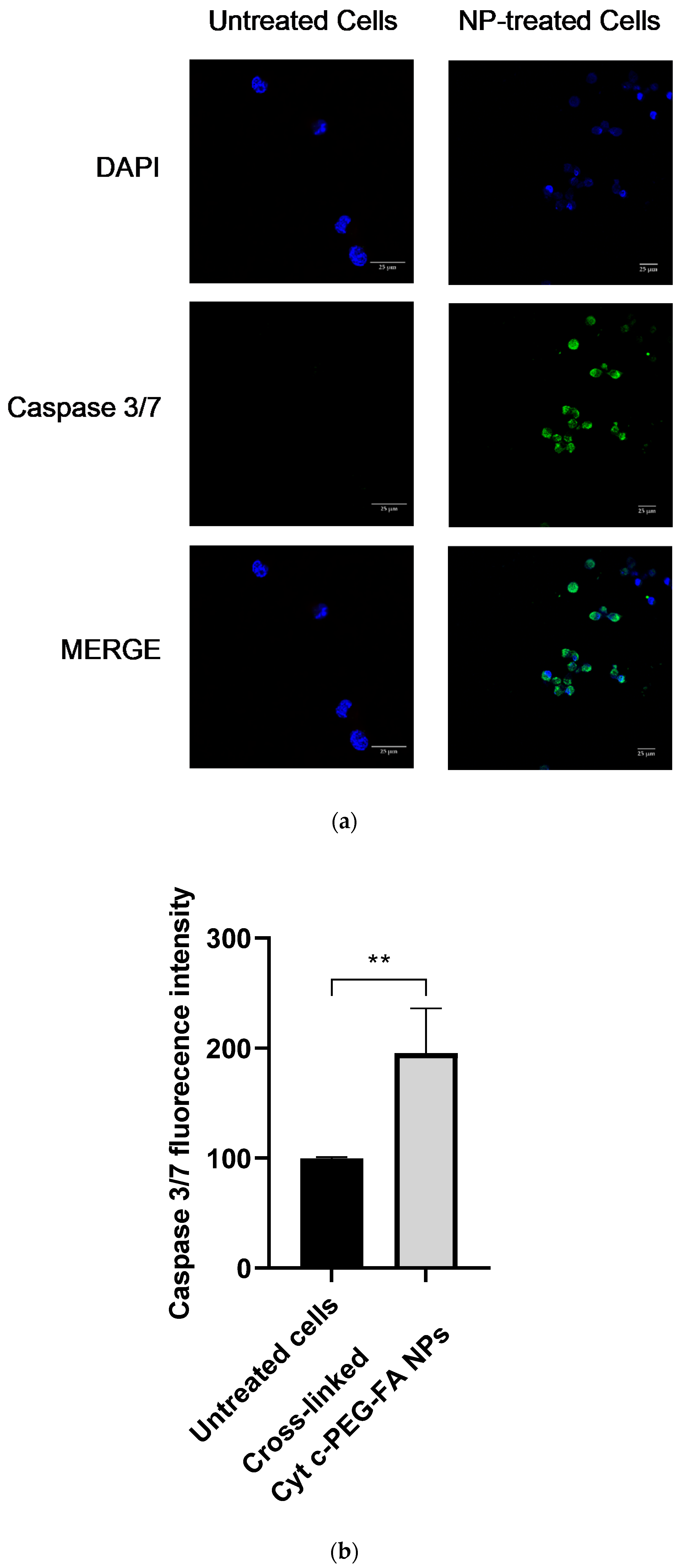 Pharmaceutics 14 00490 g006 Pharmaceutics 14 00490 g006
