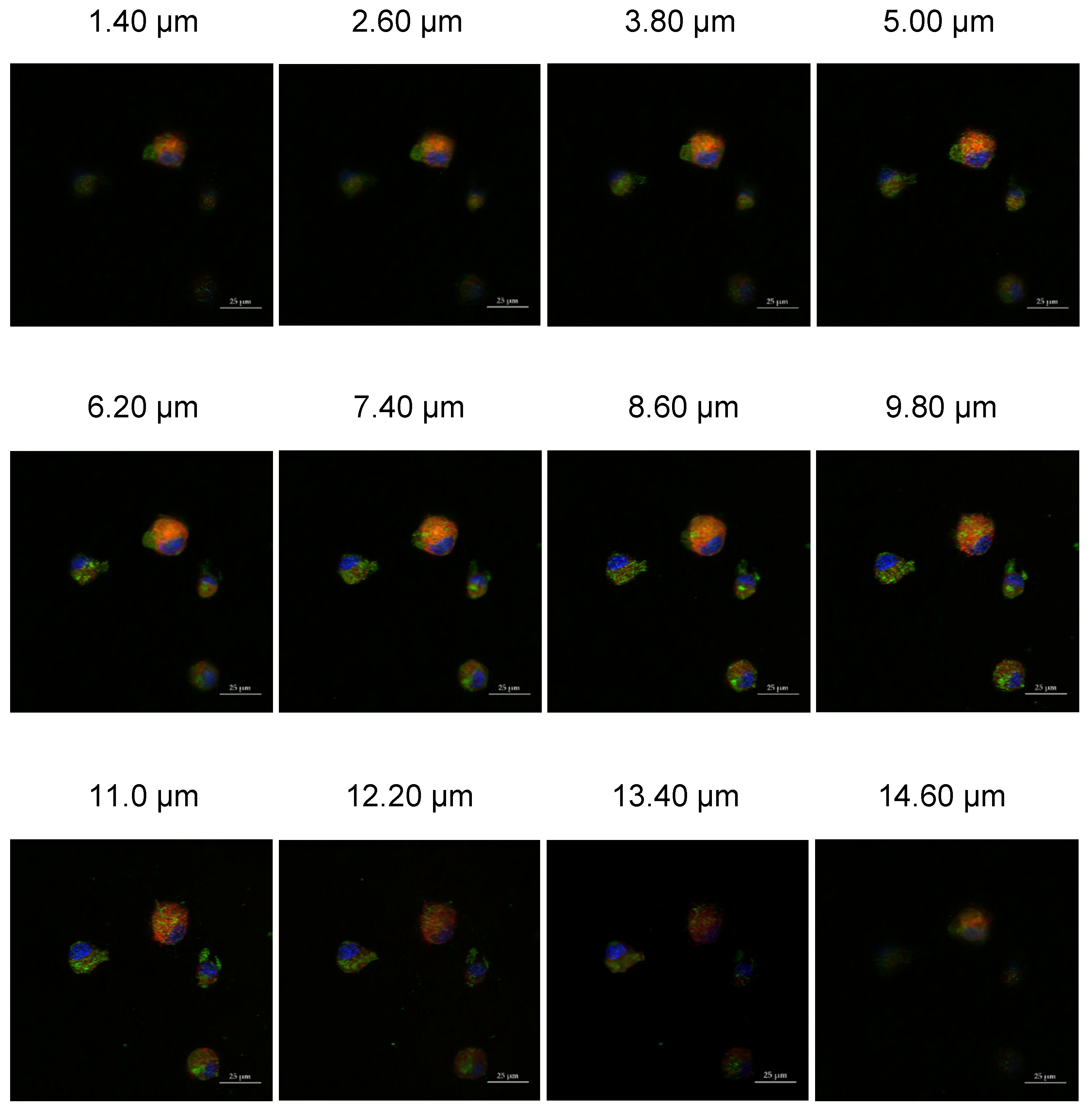 Pharmaceutics 14 00490 g007 Pharmaceutics 14 00490 g007