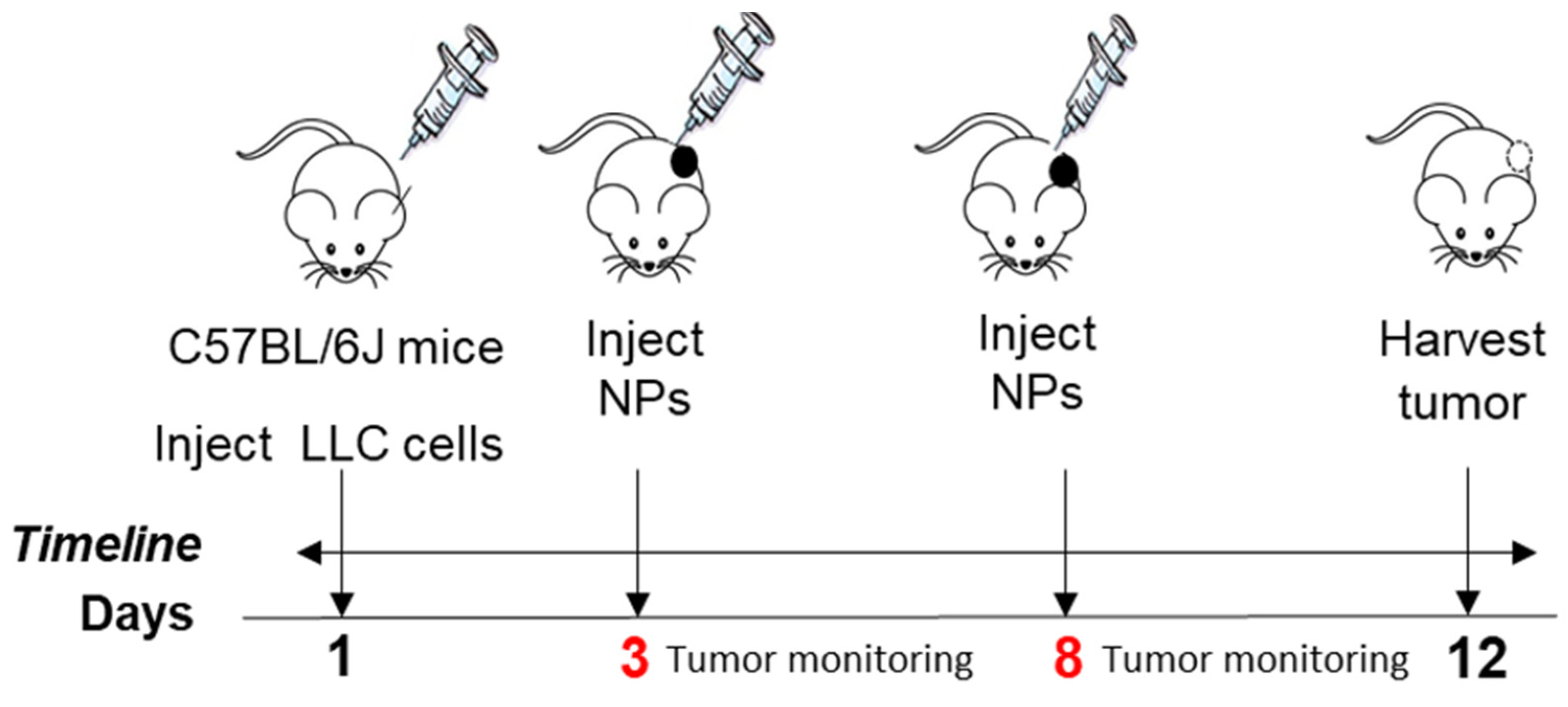 Pharmaceutics 14 00490 g010 Pharmaceutics 14 00490 g010