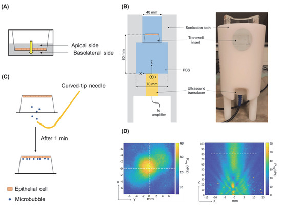 Pharmaceutics 14 00494 g001 550