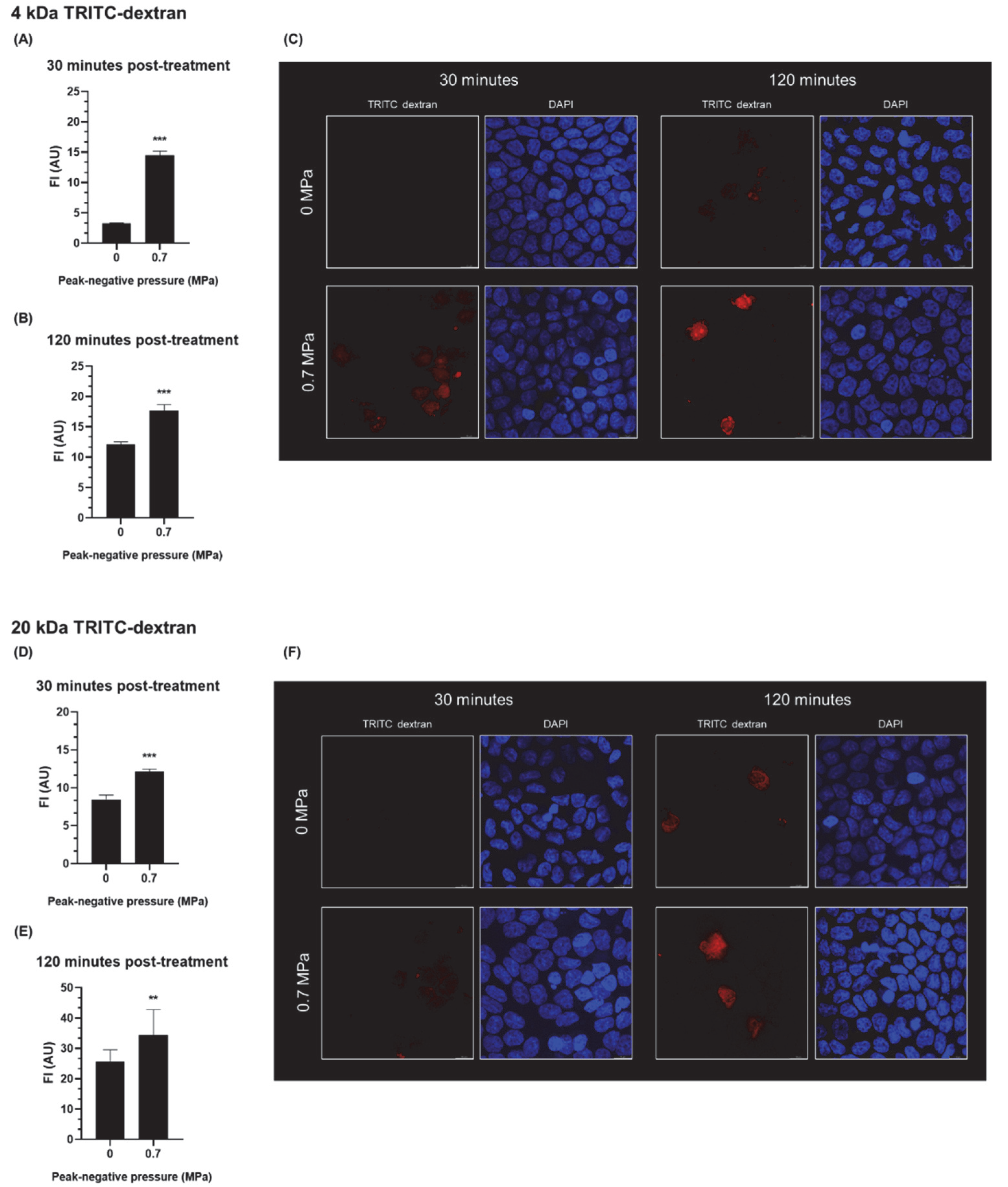 Pharmaceutics 14 00494 g003 Pharmaceutics 14 00494 g003
