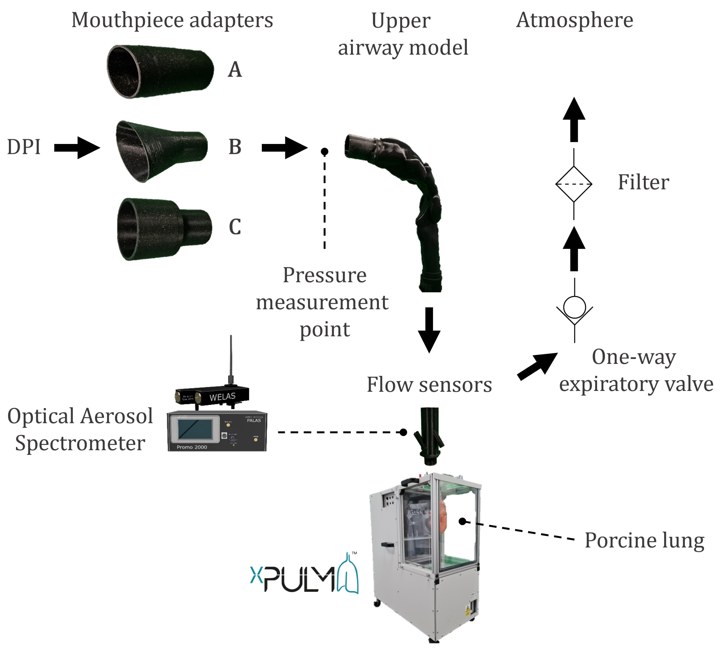 Pharmaceutics 14 00500 g001 Pharmaceutics 14 00500 g001