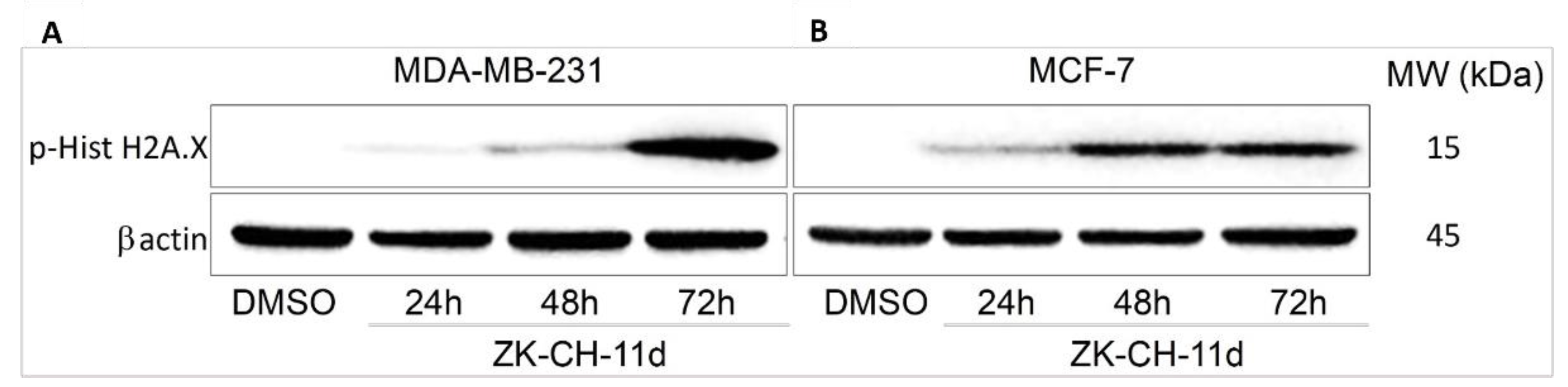 Pharmaceutics 14 00503 g013
