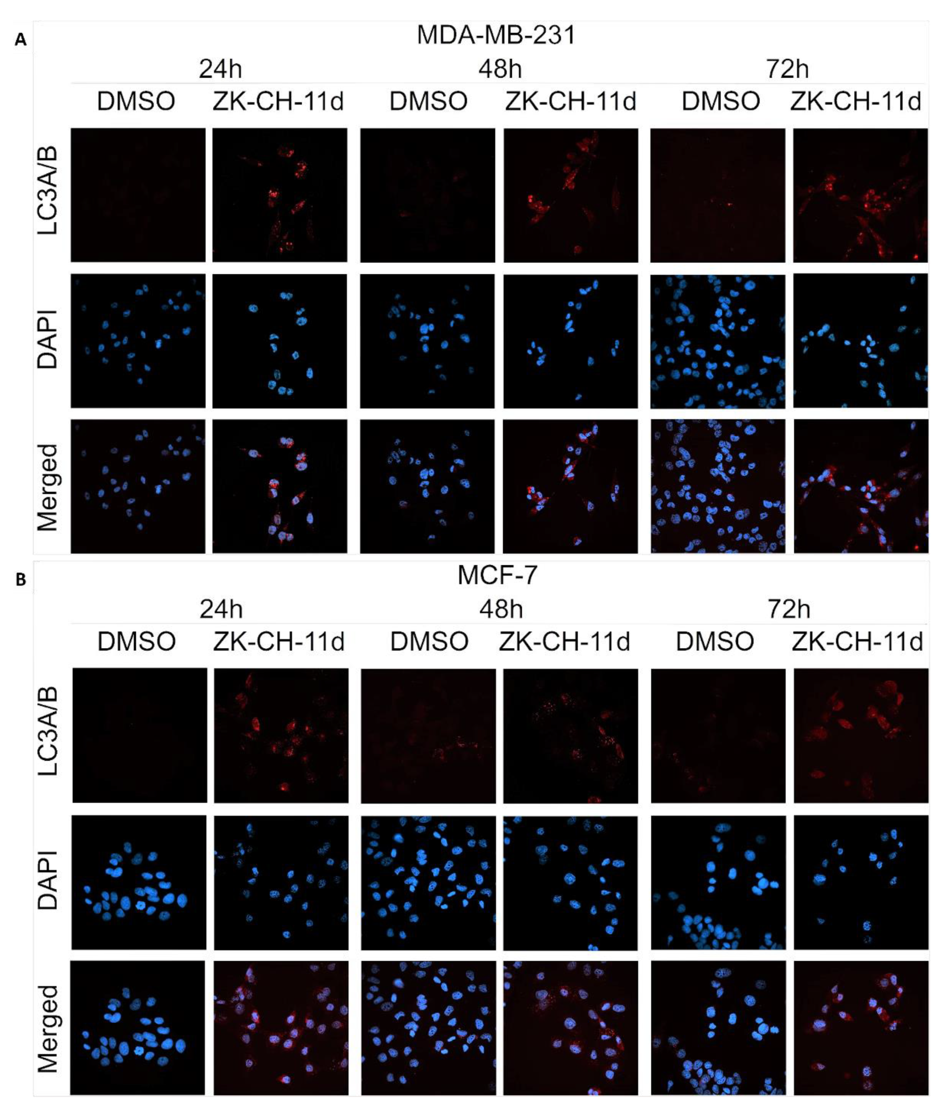 Pharmaceutics 14 00503 g018