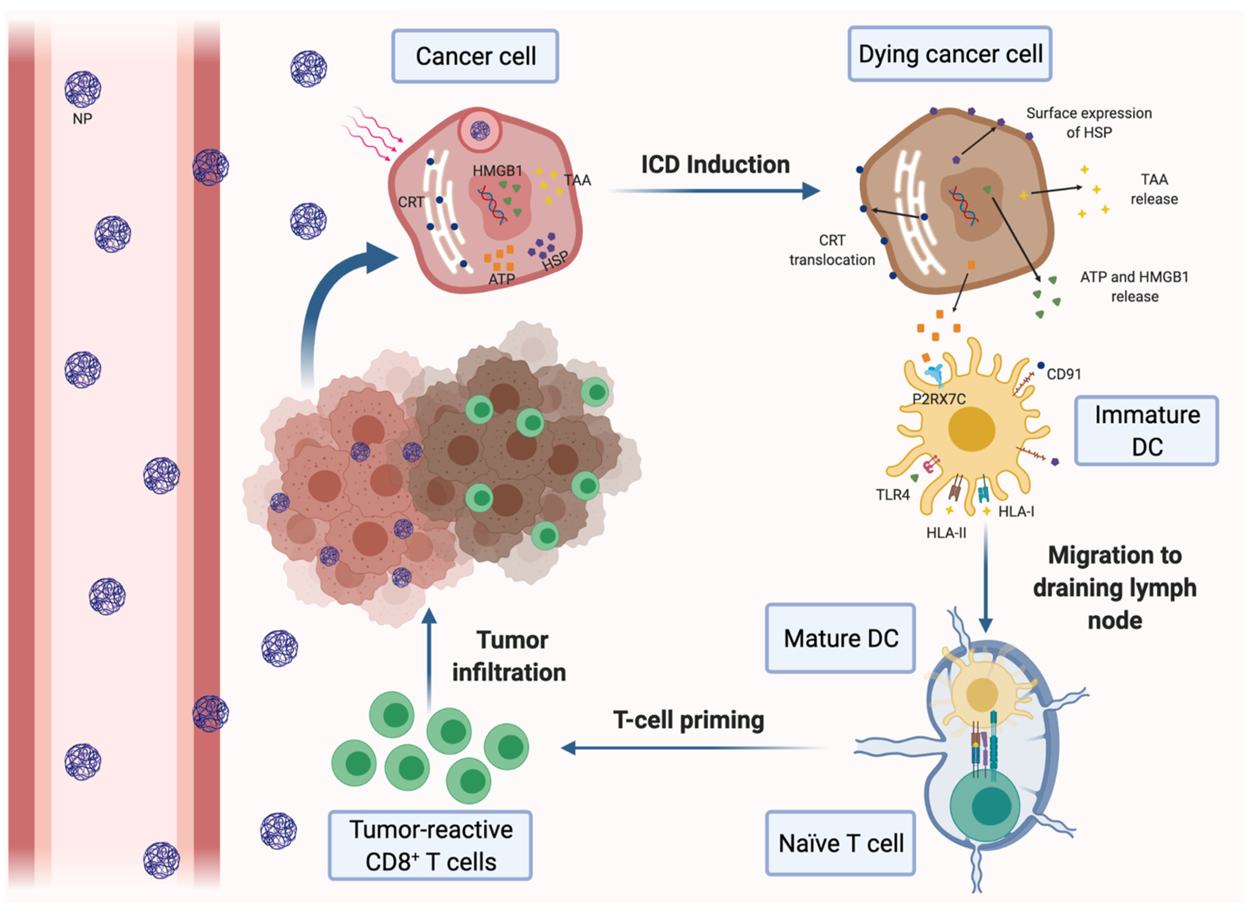 Pharmaceutics 14 00505 g001