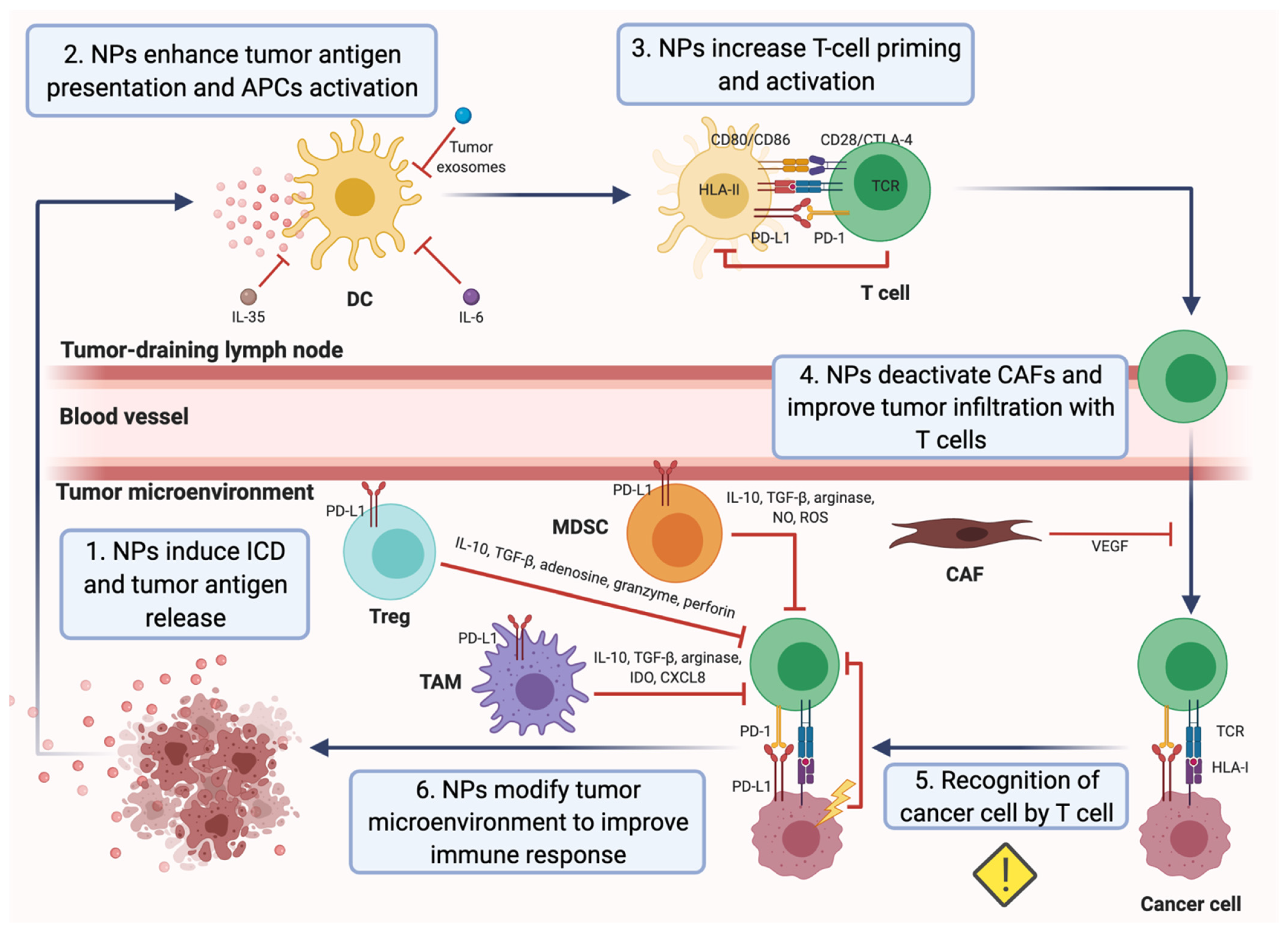Pharmaceutics 14 00505 g002