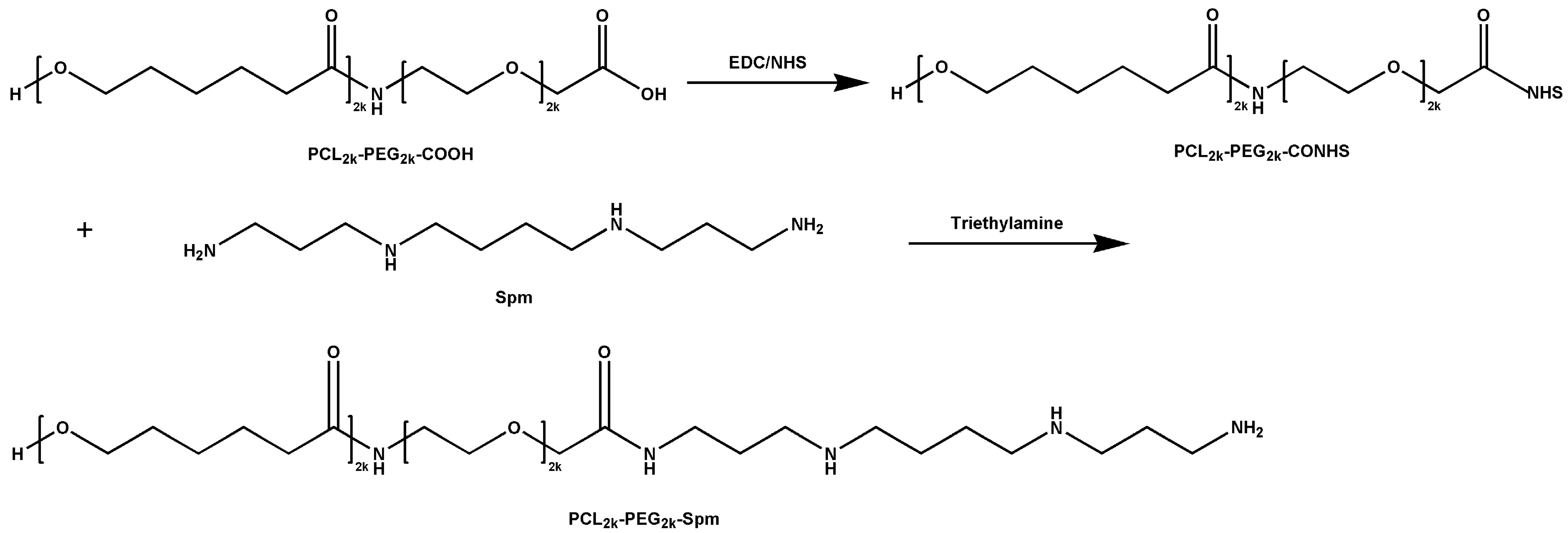Pharmaceutics 14 00510 g001 Pharmaceutics 14 00510 g001