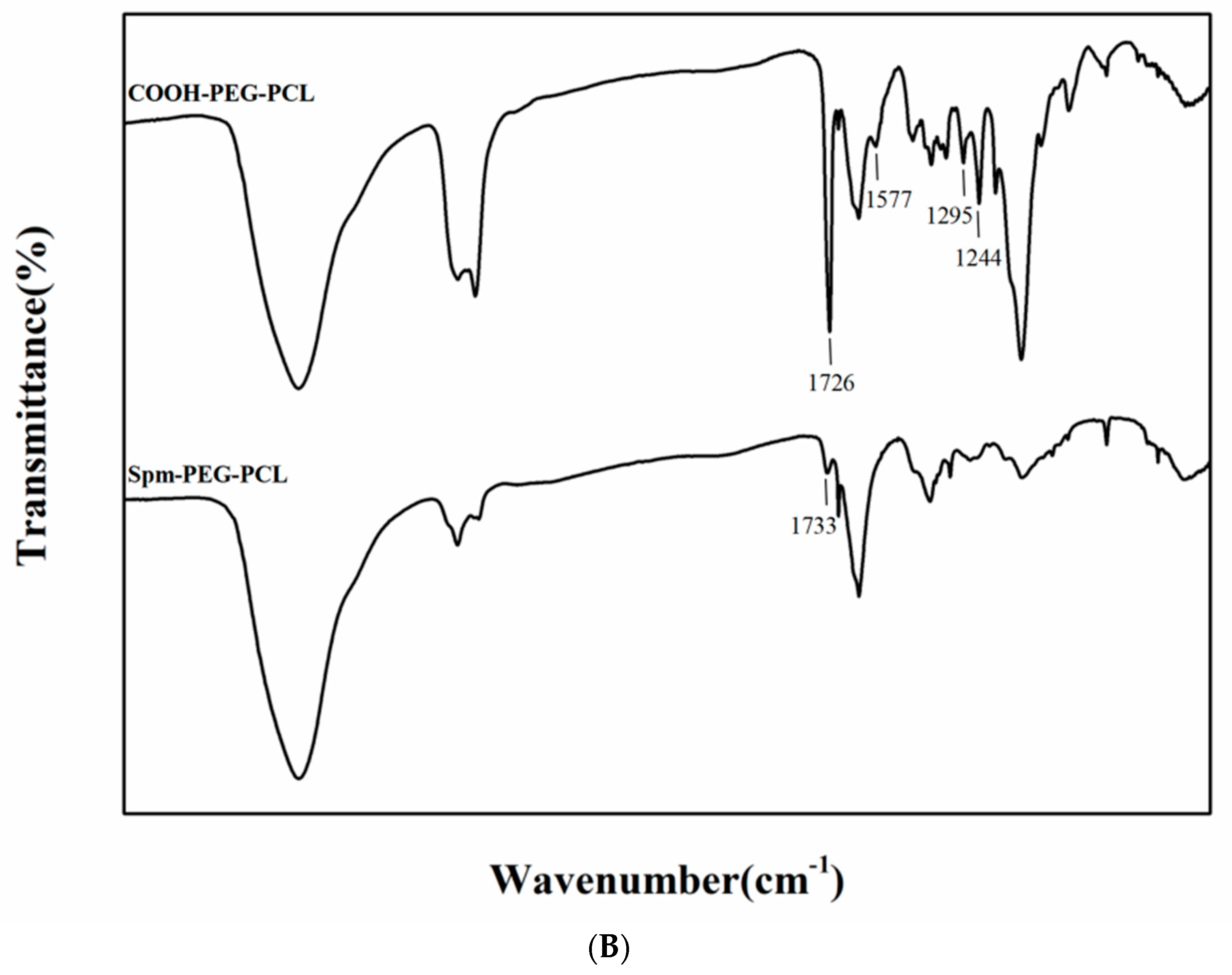 Pharmaceutics 14 00510 g002b Pharmaceutics 14 00510 g002b
