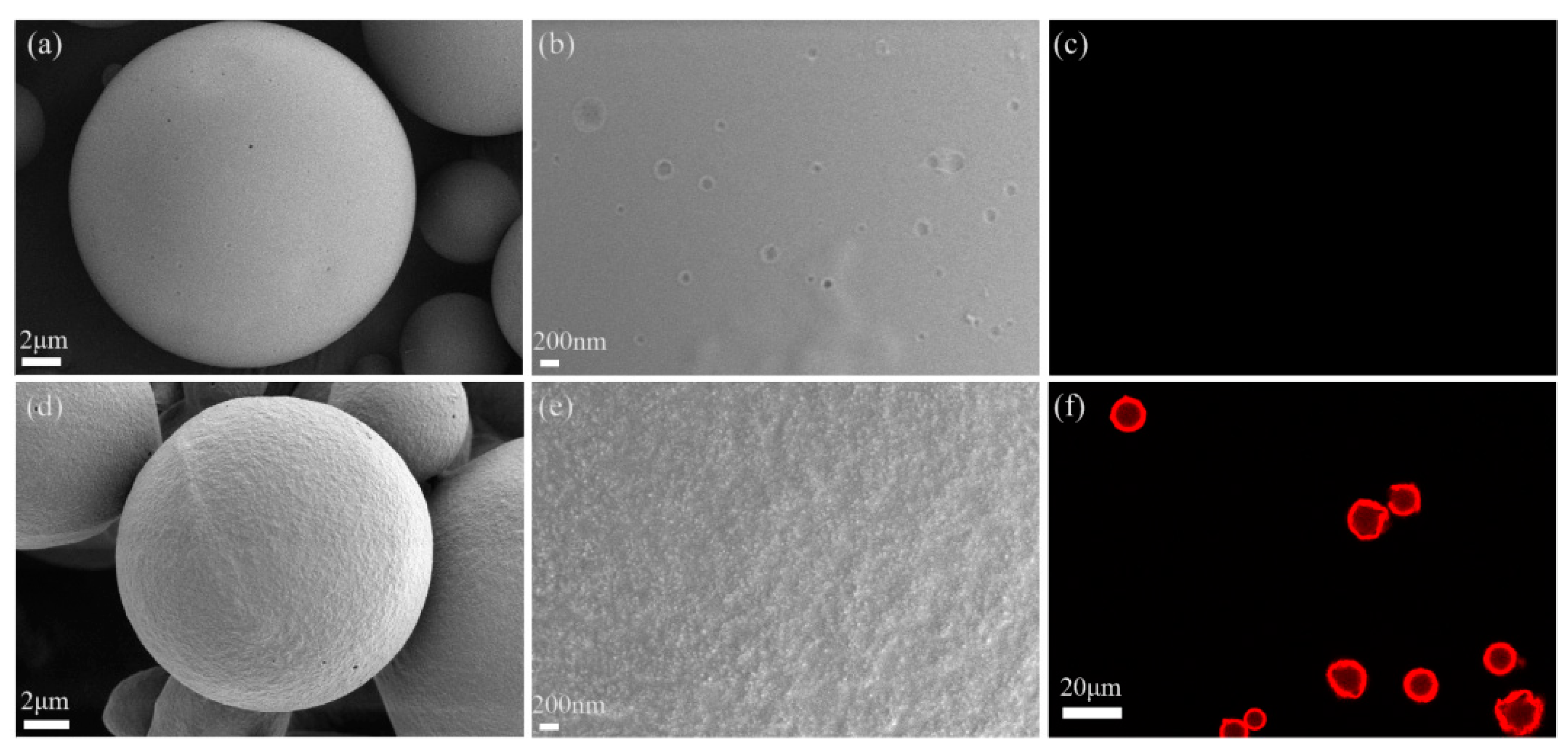 Pharmaceutics 14 00510 g004 Pharmaceutics 14 00510 g004
