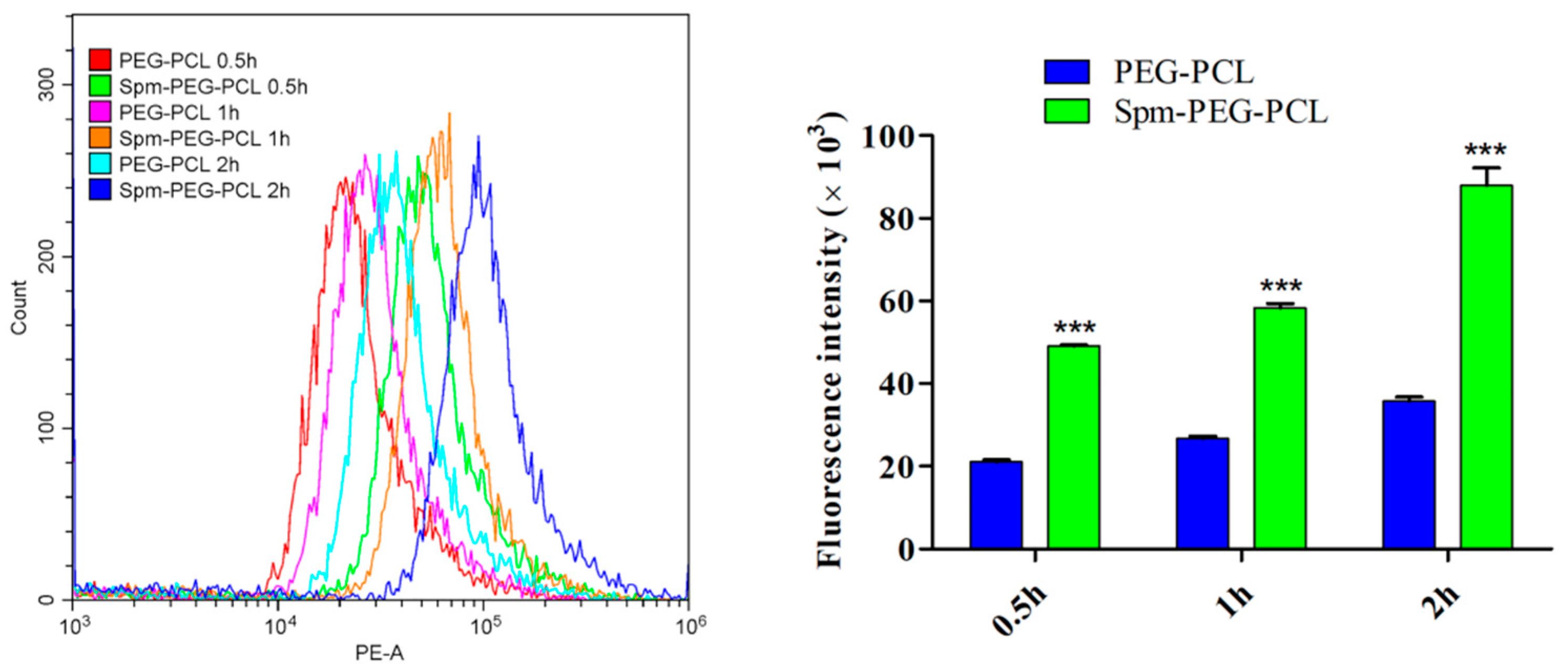 Pharmaceutics 14 00510 g007 Pharmaceutics 14 00510 g007