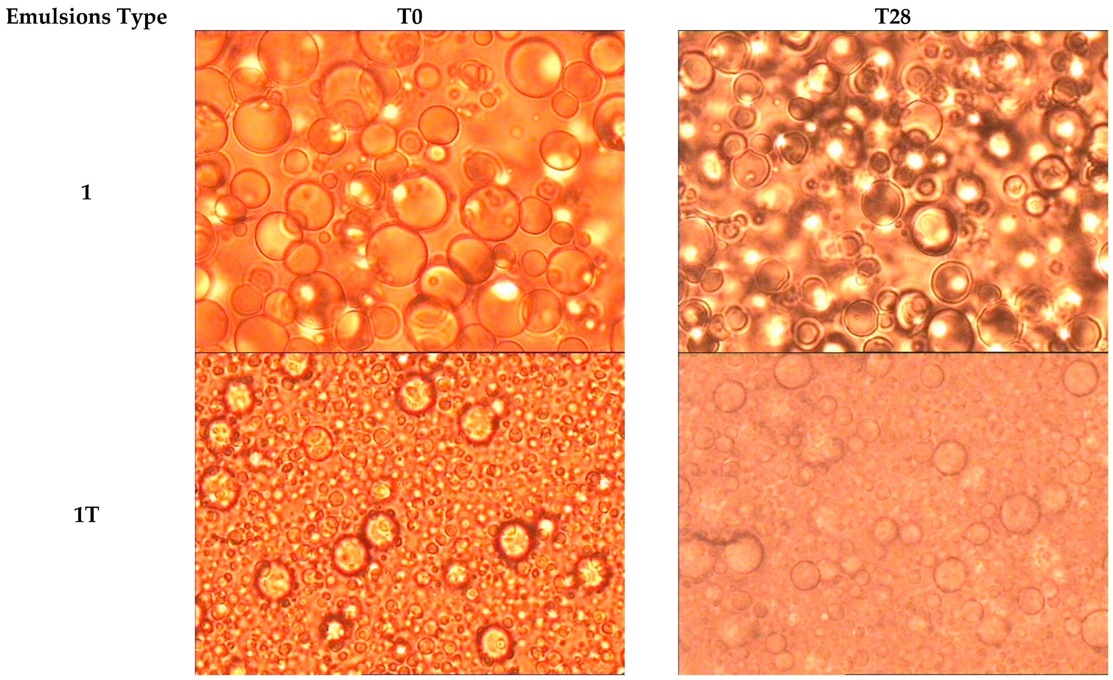 Pharmaceutics 14 00513 g001a