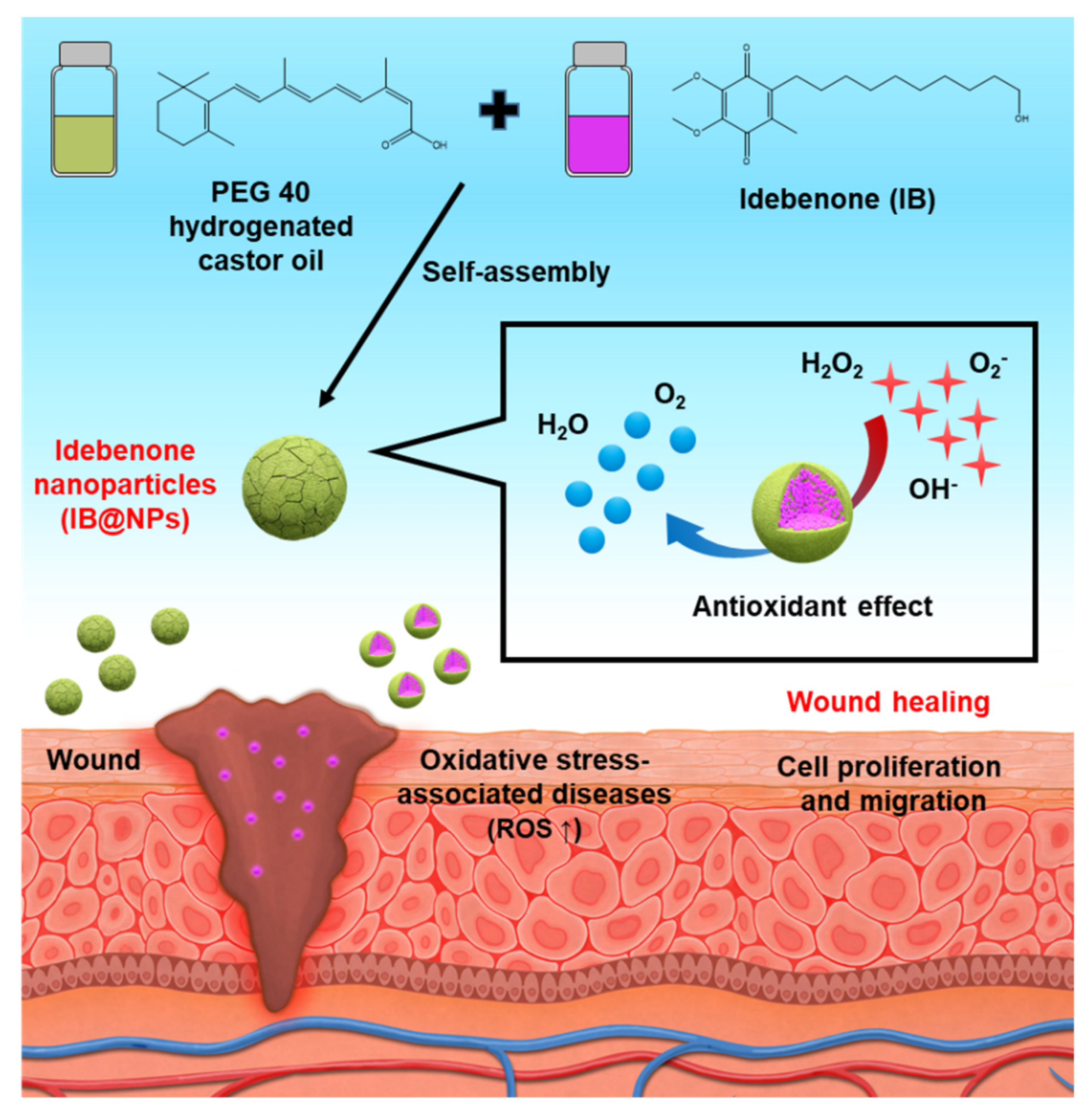 Pharmaceutics 14 00521 g001