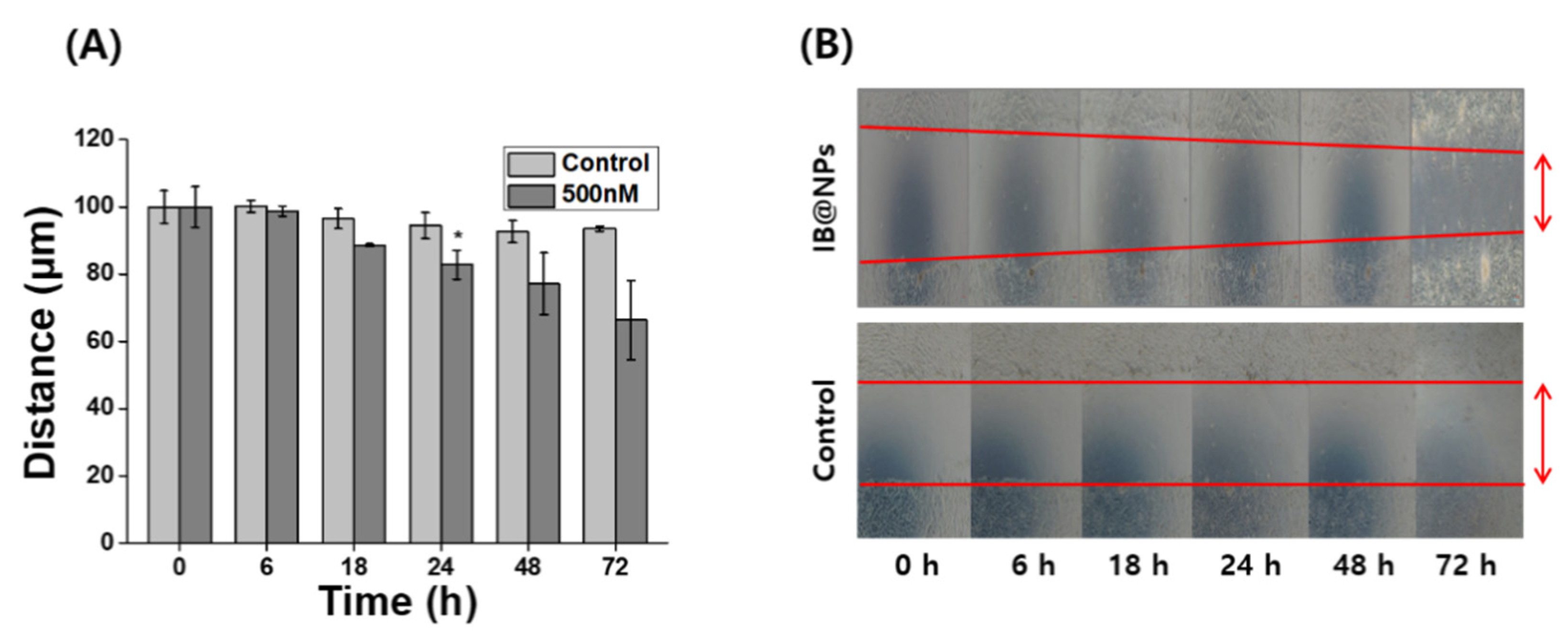 Pharmaceutics 14 00521 g008