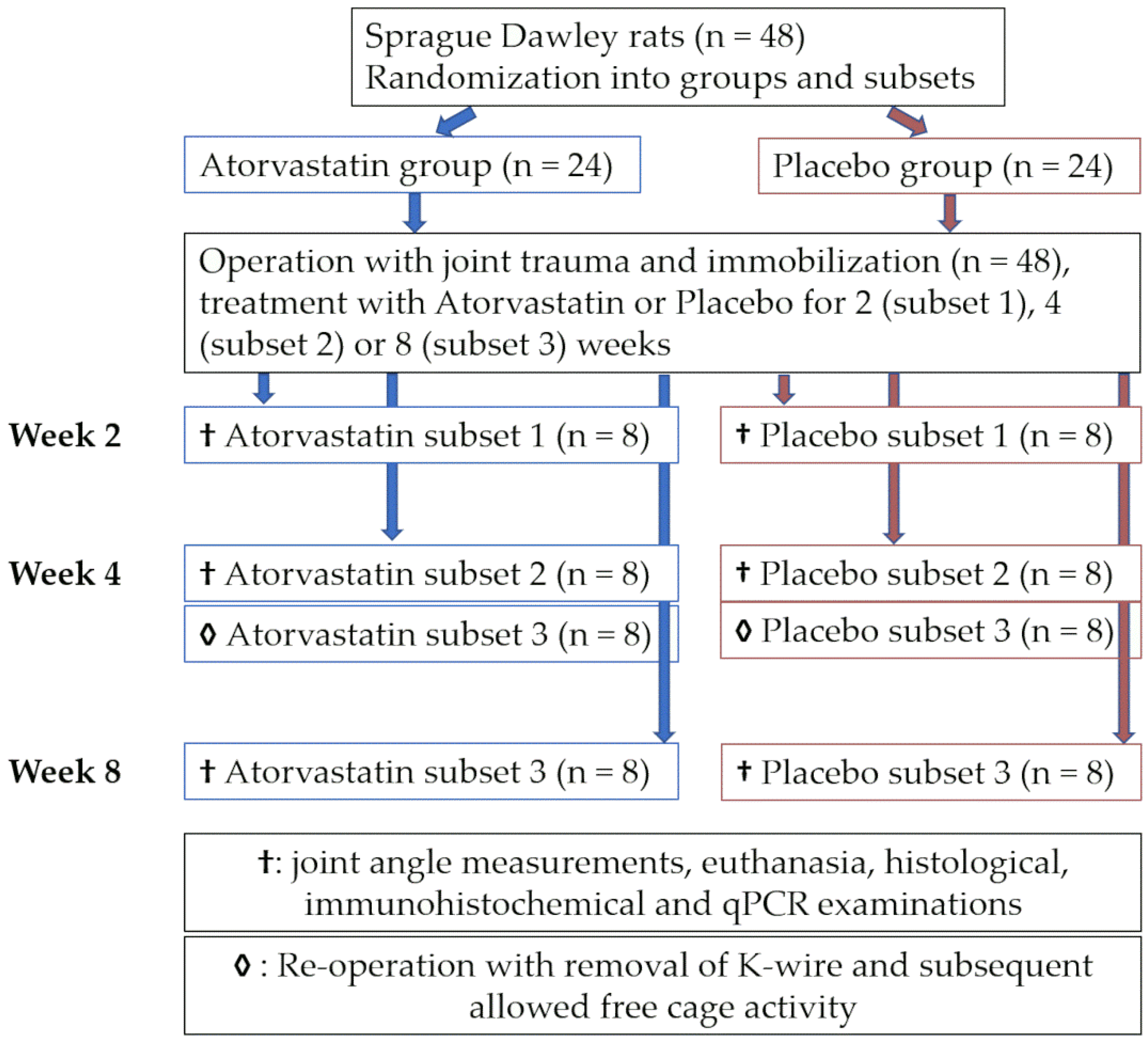 Pharmaceutics 14 00523 g001