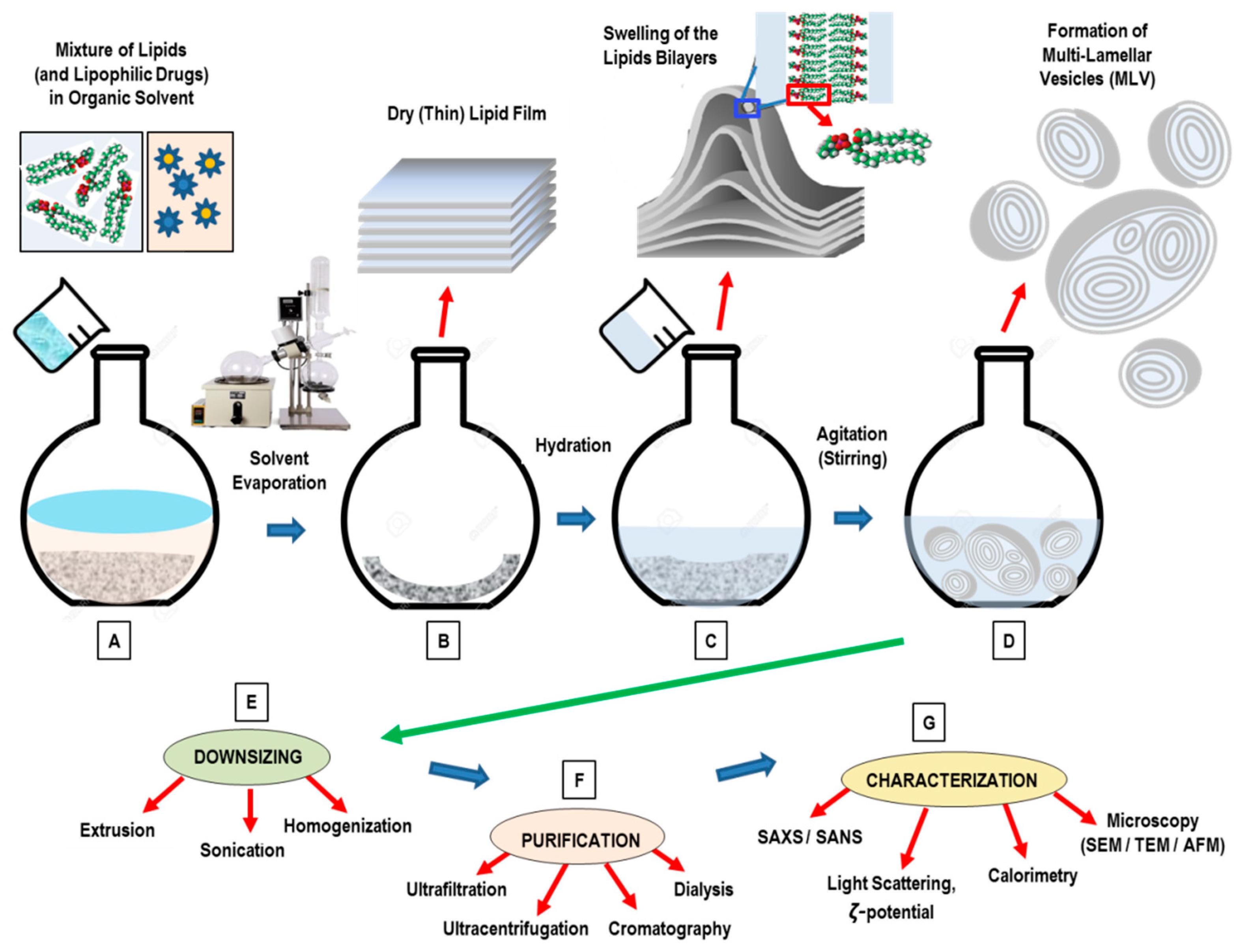 Pharmaceutics 14 00543 g003 Pharmaceutics 14 00543 g003