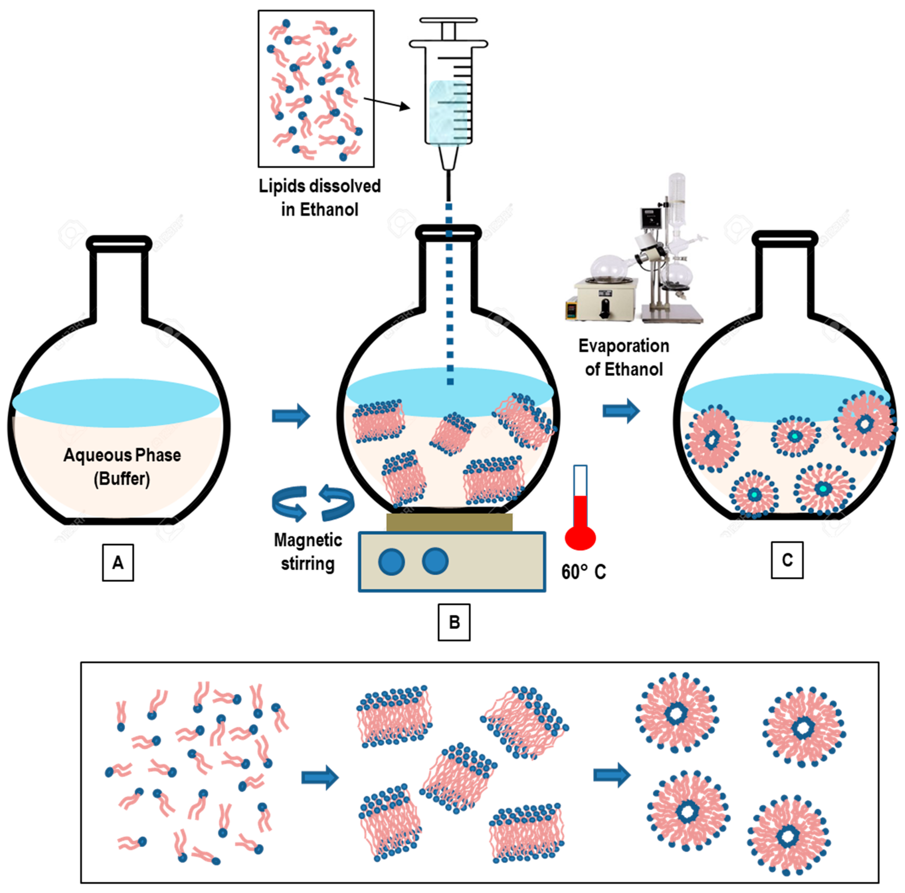Pharmaceutics 14 00543 g005 Pharmaceutics 14 00543 g005