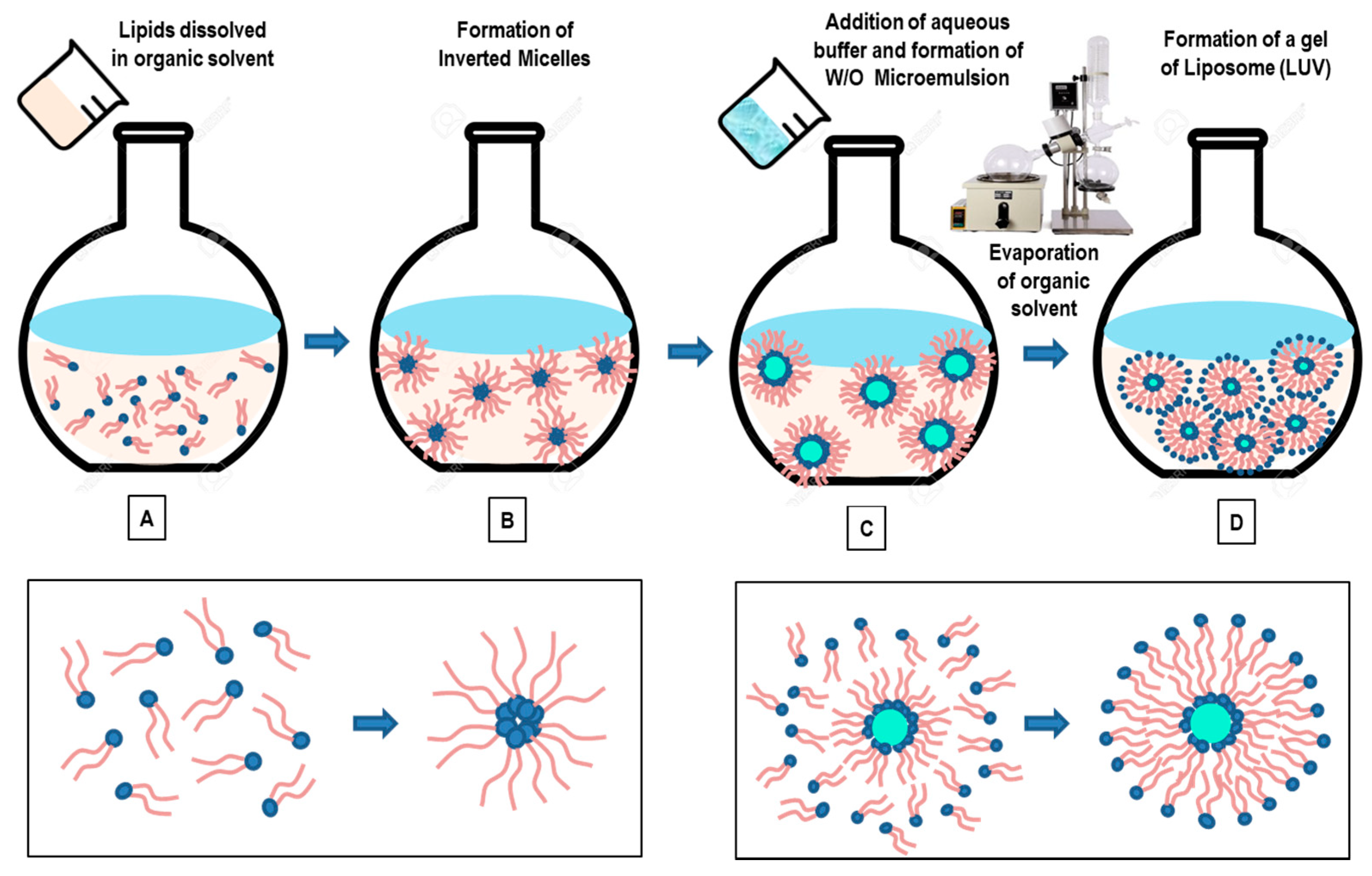 Pharmaceutics 14 00543 g006 Pharmaceutics 14 00543 g006