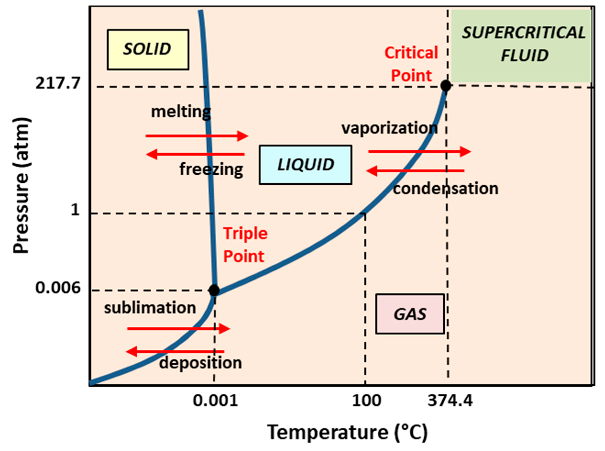 Pharmaceutics 14 00543 g008 Pharmaceutics 14 00543 g008