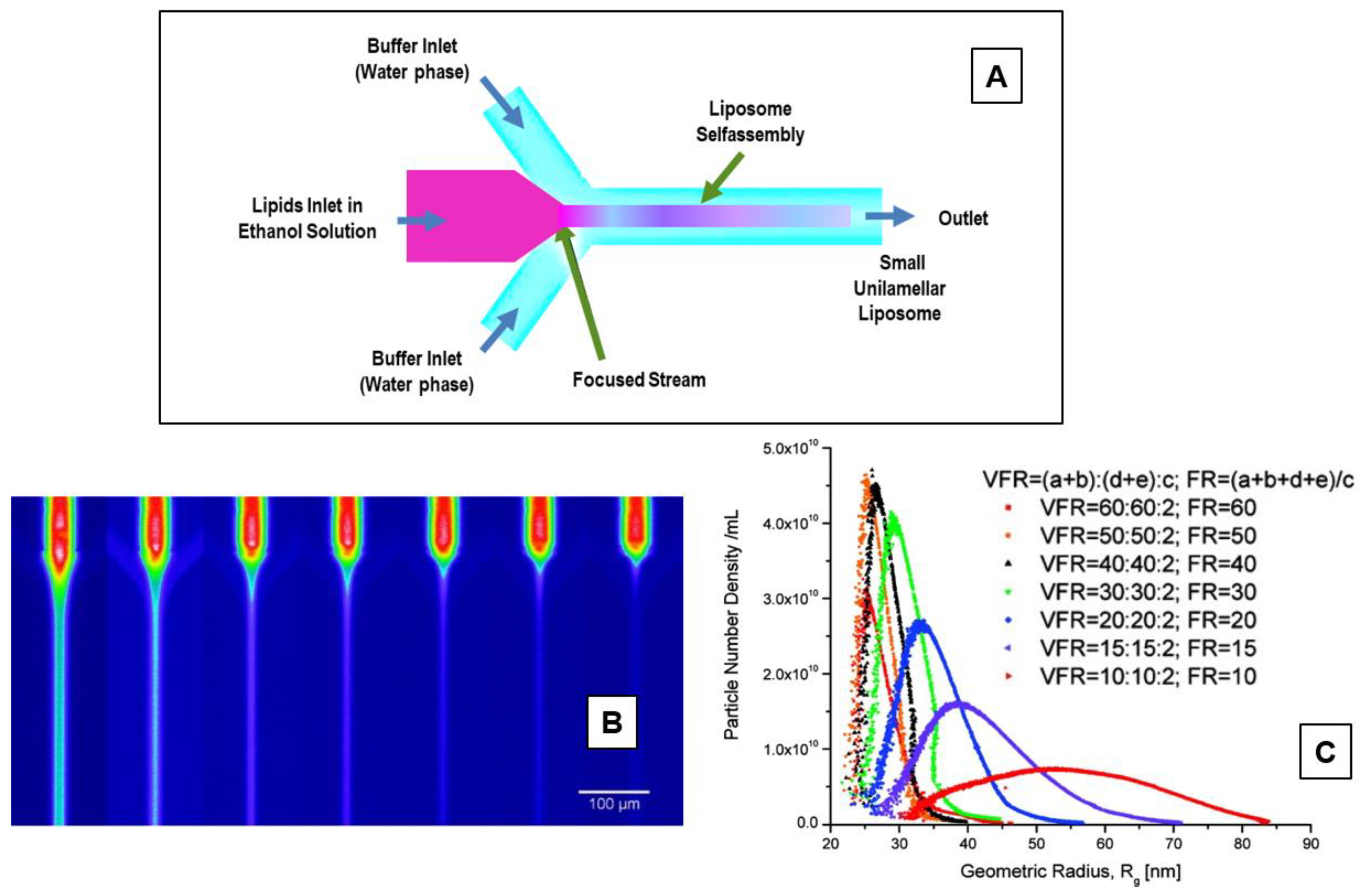 Pharmaceutics 14 00543 g014 Pharmaceutics 14 00543 g014