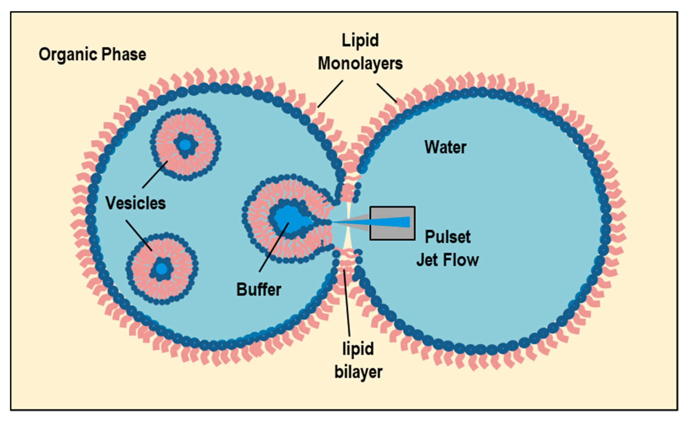 Pharmaceutics 14 00543 g015 Pharmaceutics 14 00543 g015