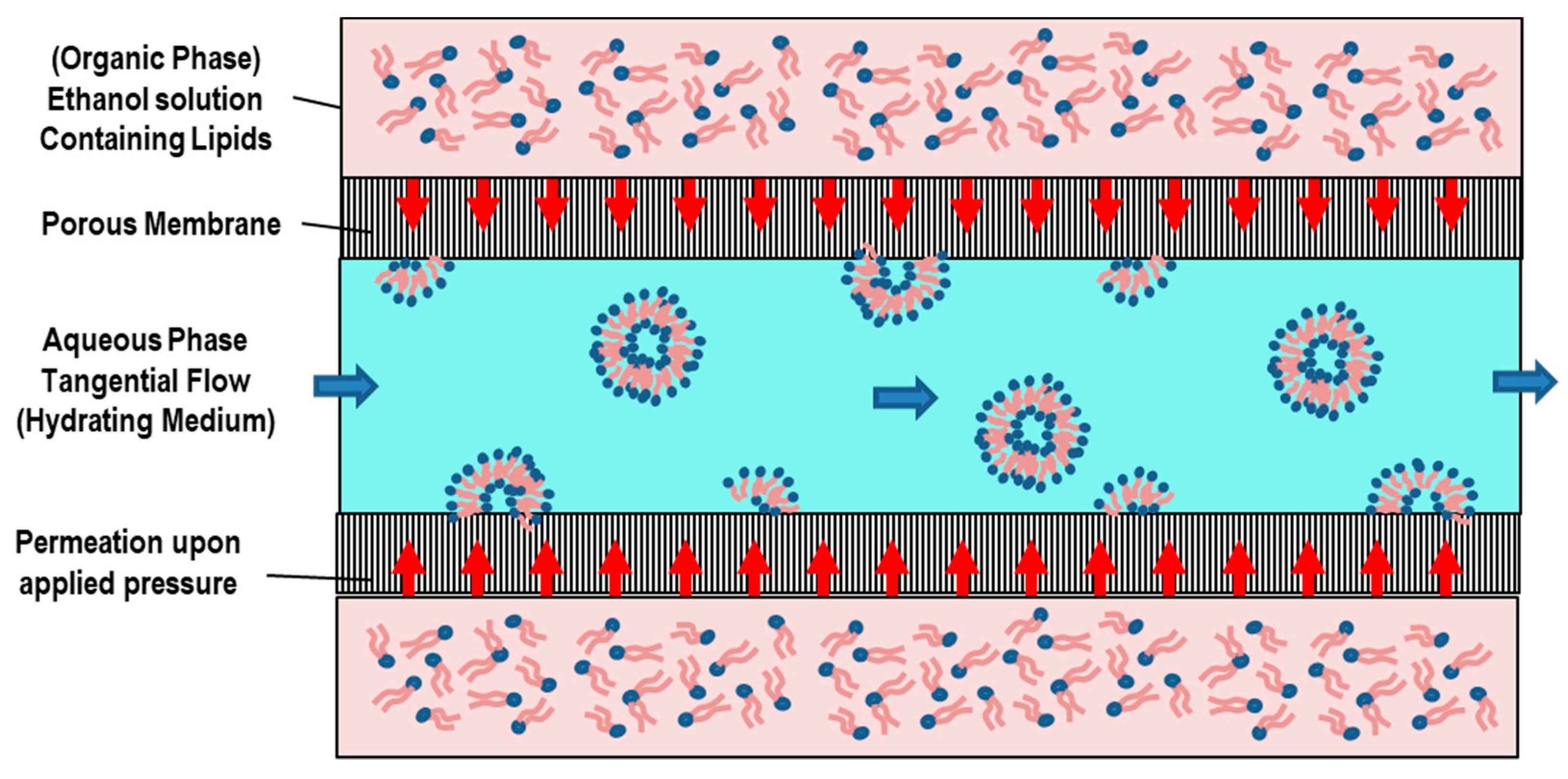 Pharmaceutics 14 00543 g016 Pharmaceutics 14 00543 g016