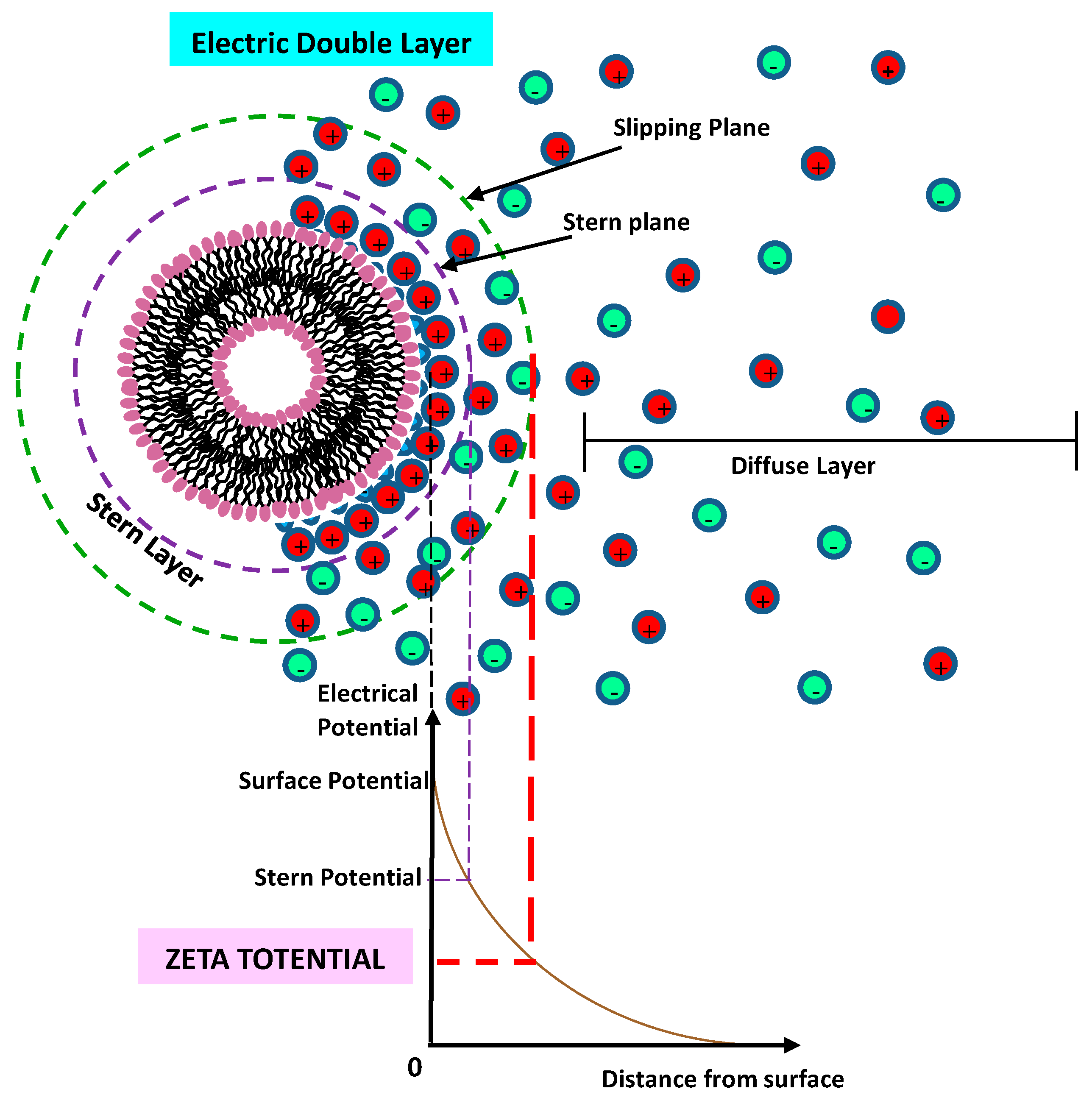 Pharmaceutics 14 00543 g019 Pharmaceutics 14 00543 g019