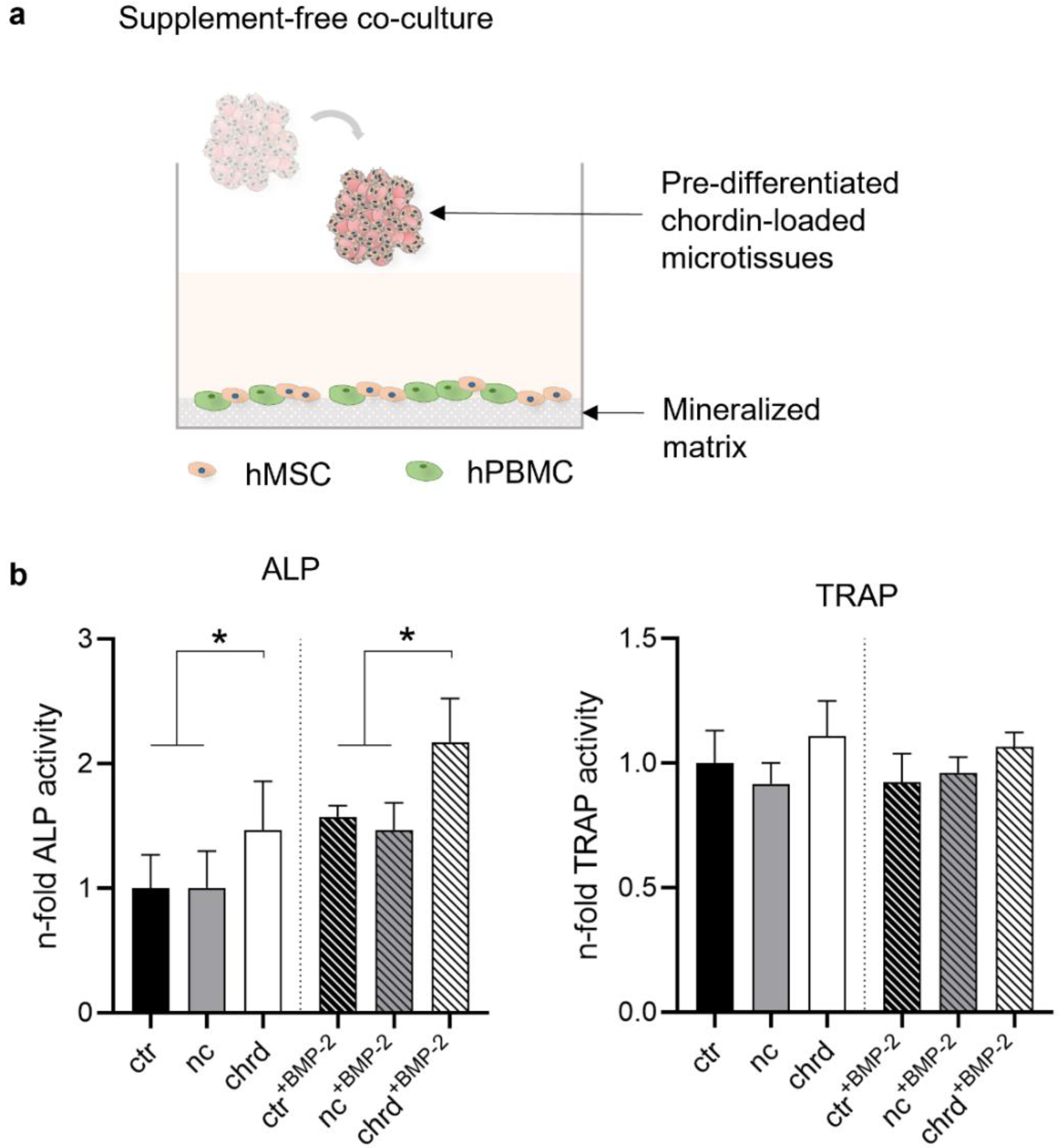 Pharmaceutics 14 00548 g008 Pharmaceutics 14 00548 g008