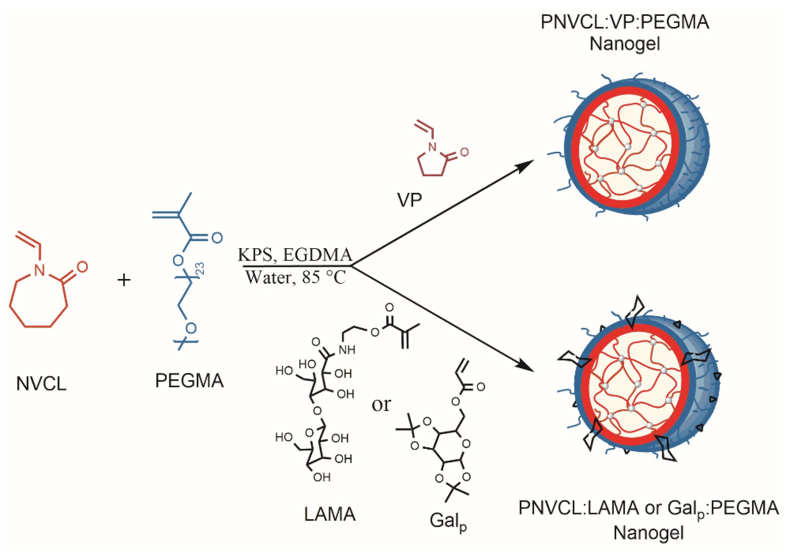 Pharmaceutics 14 00560 sch001