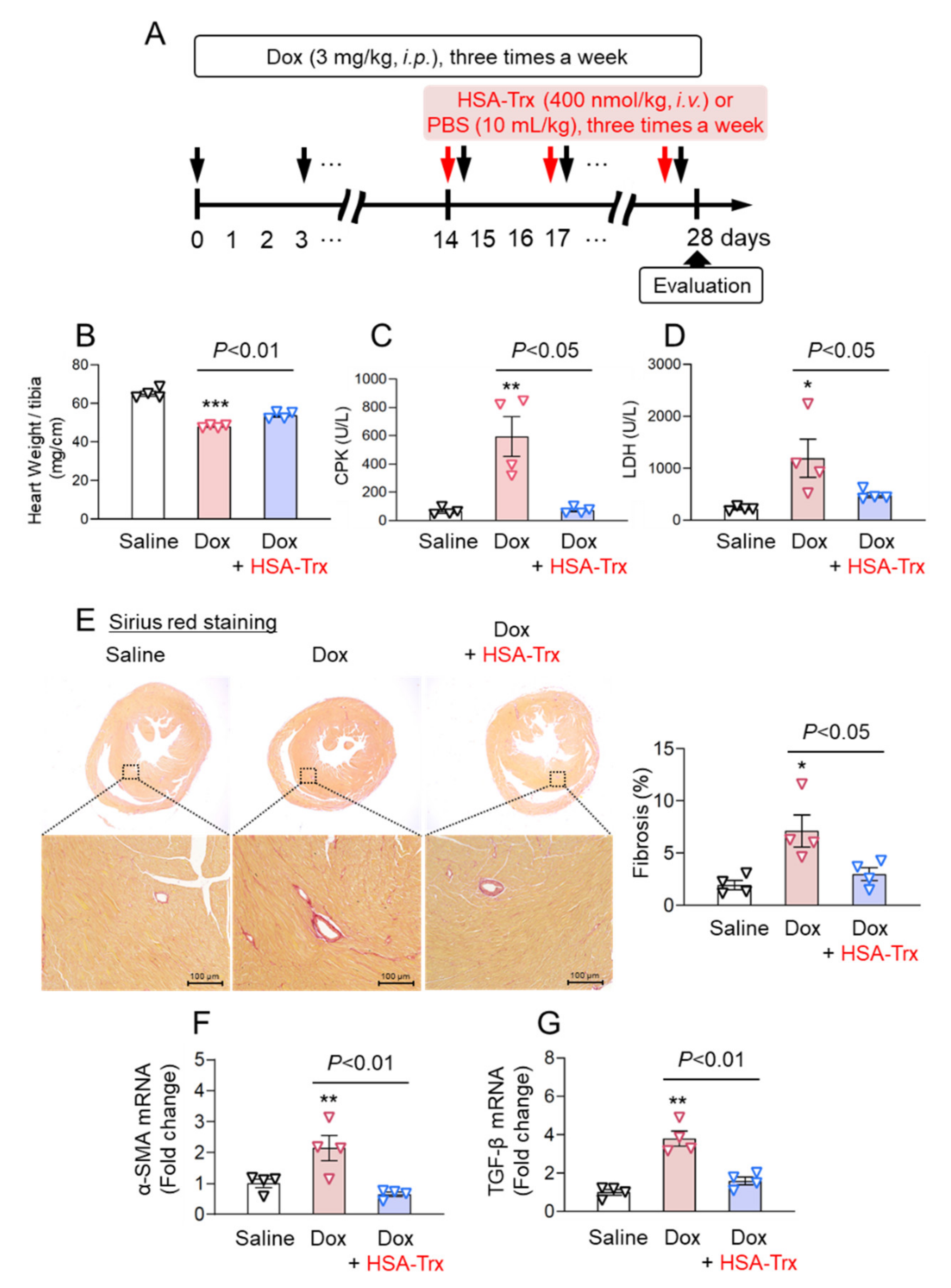 Pharmaceutics 14 00562 g001