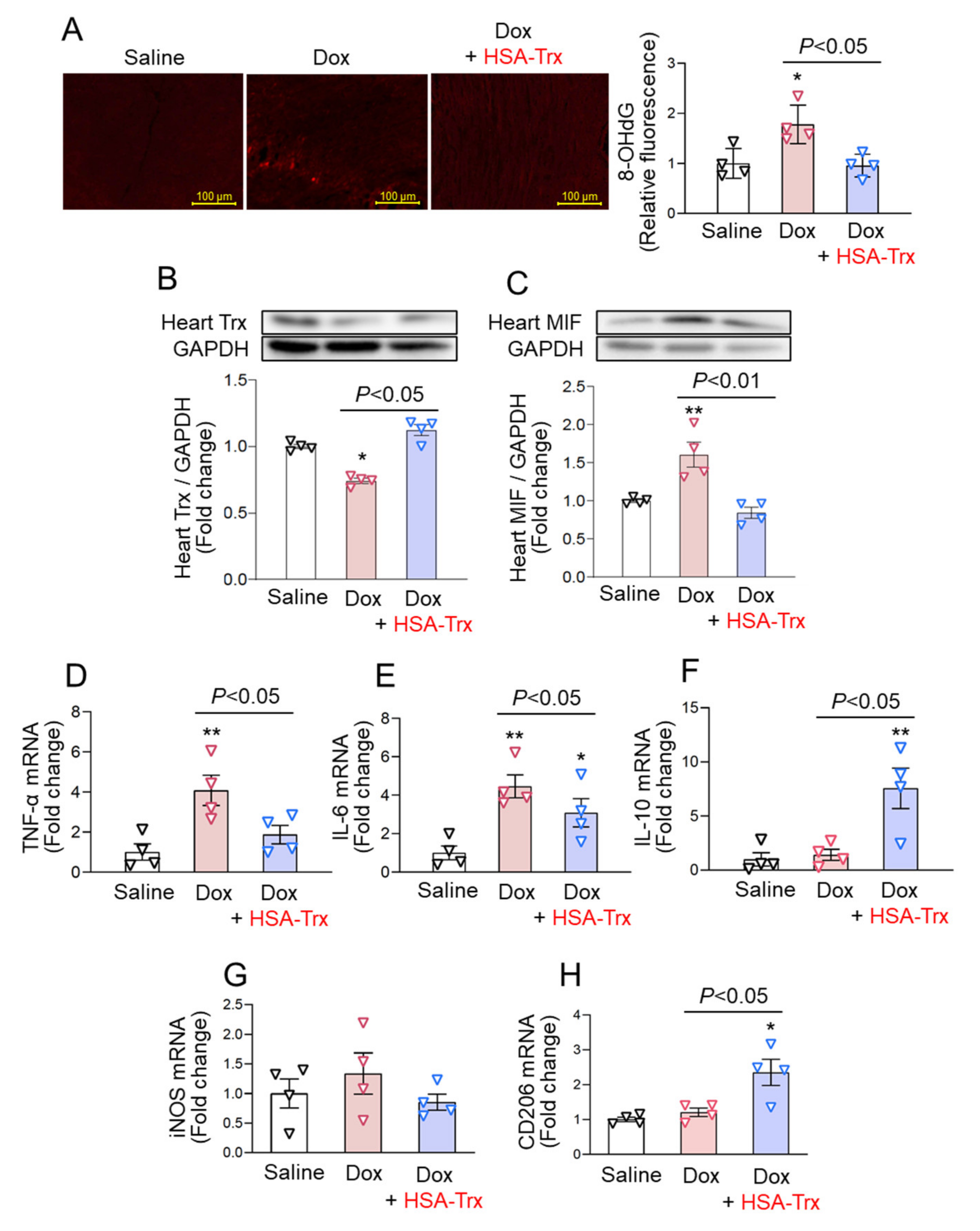 Pharmaceutics 14 00562 g002