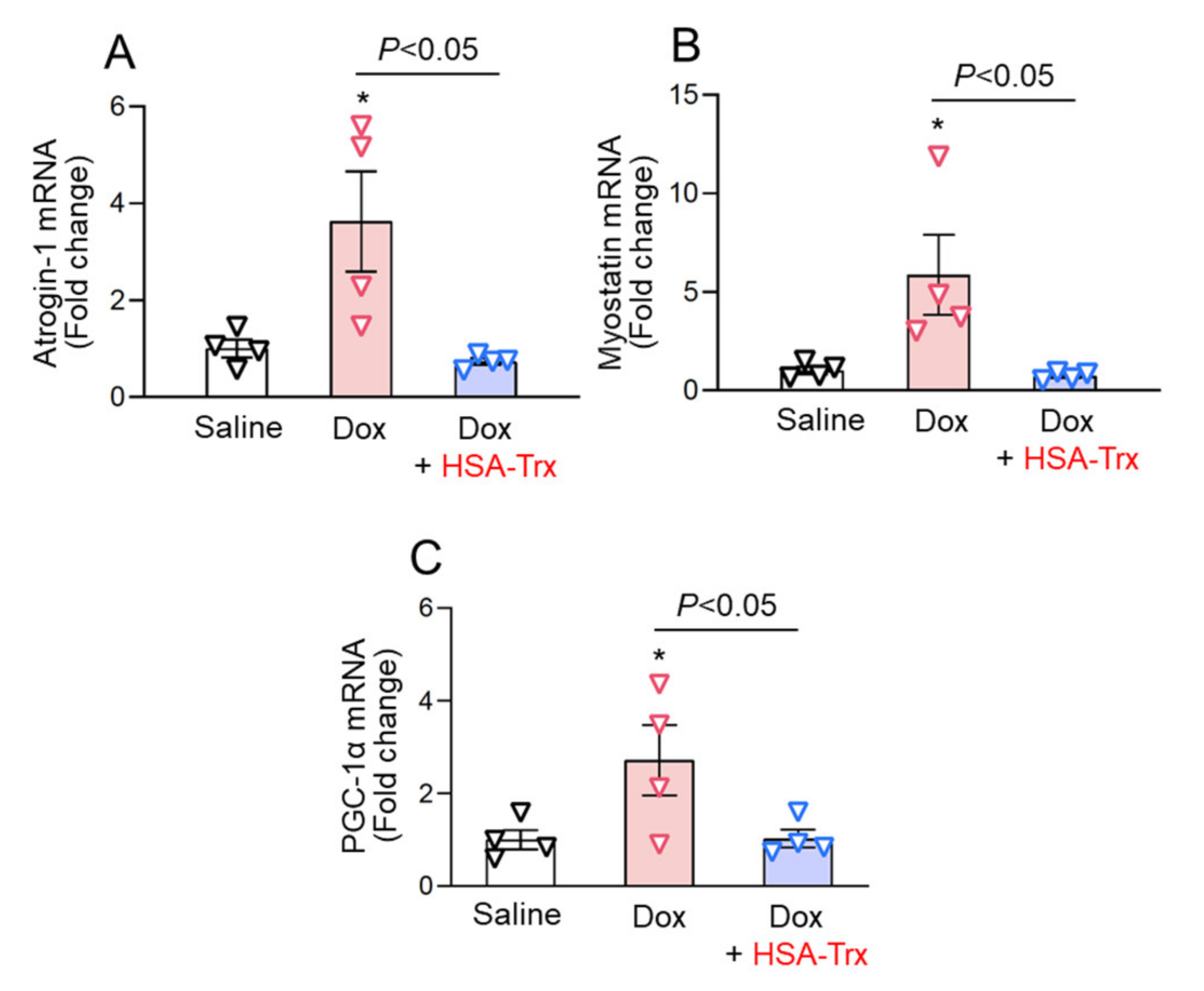 Pharmaceutics 14 00562 g003
