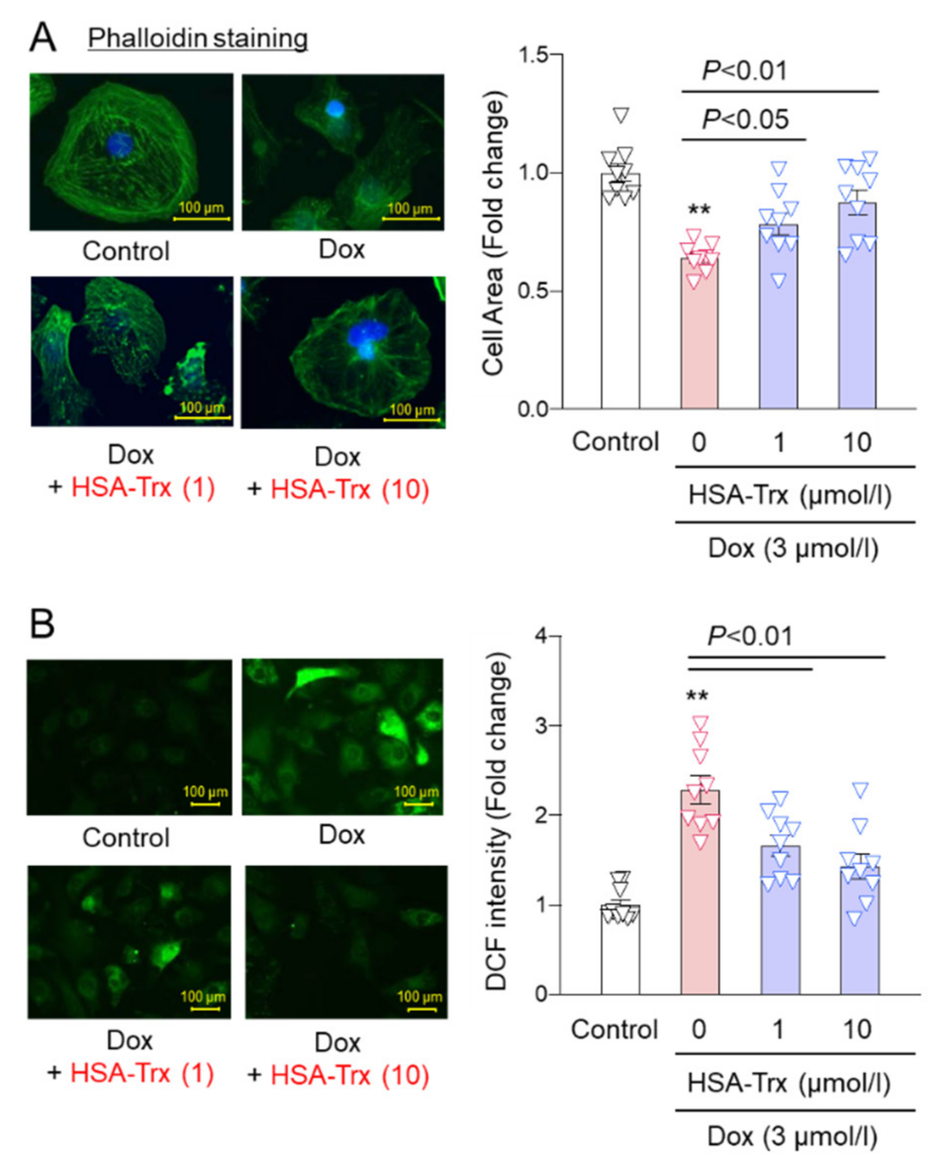Pharmaceutics 14 00562 g004