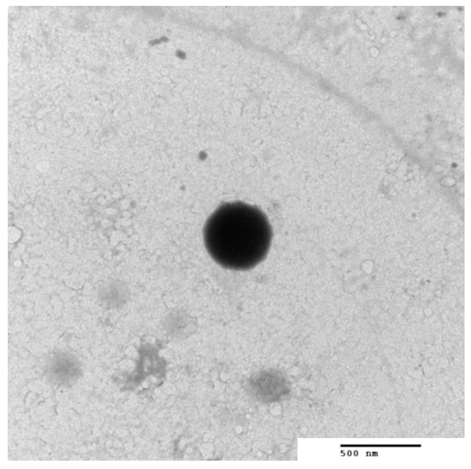 Pharmaceutics 14 00576 g006
